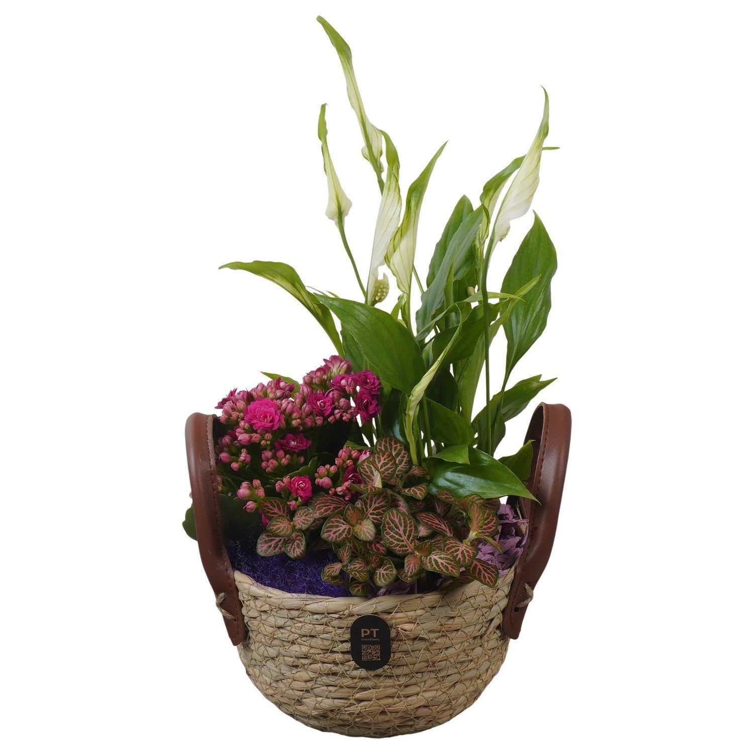 Indoor arrangement 34cm 15cm Pot