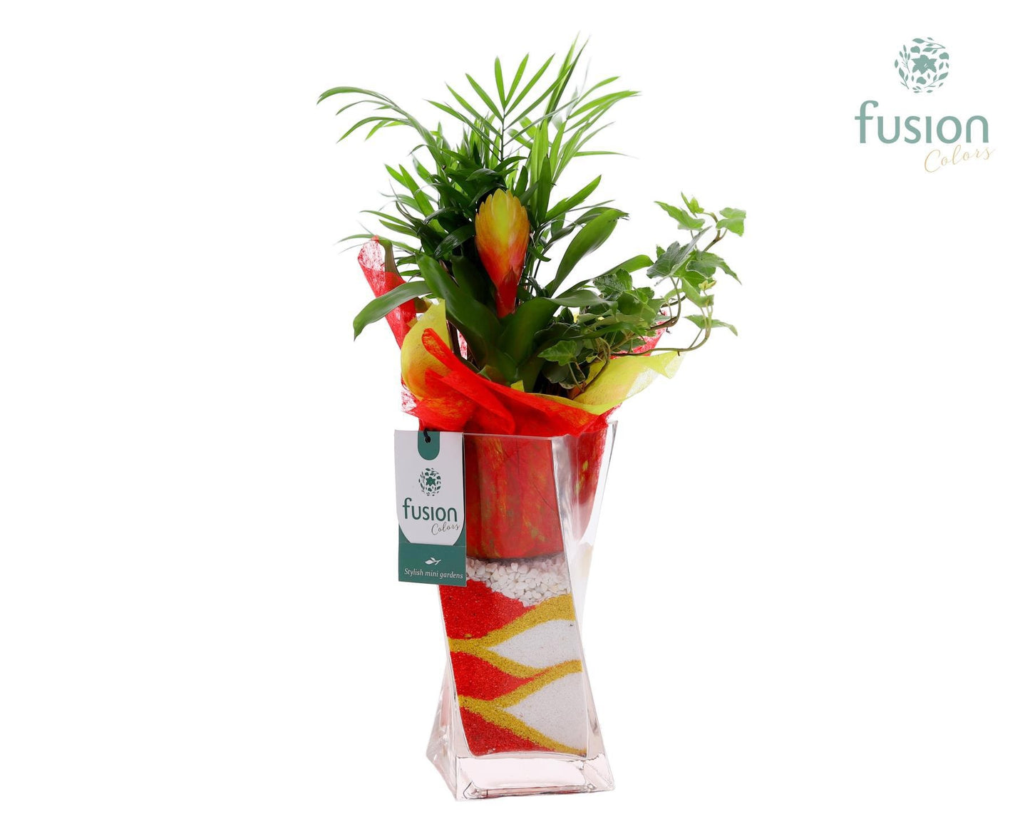 Glazen Twistervaas met Arrangement 55cm 10cm Pot