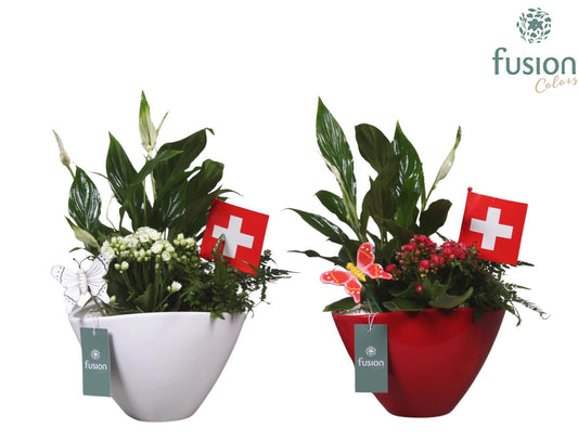 Keramiek bootpot met arrangement en de vlag van Zwitserland 3pp 35cm 23cm Pot