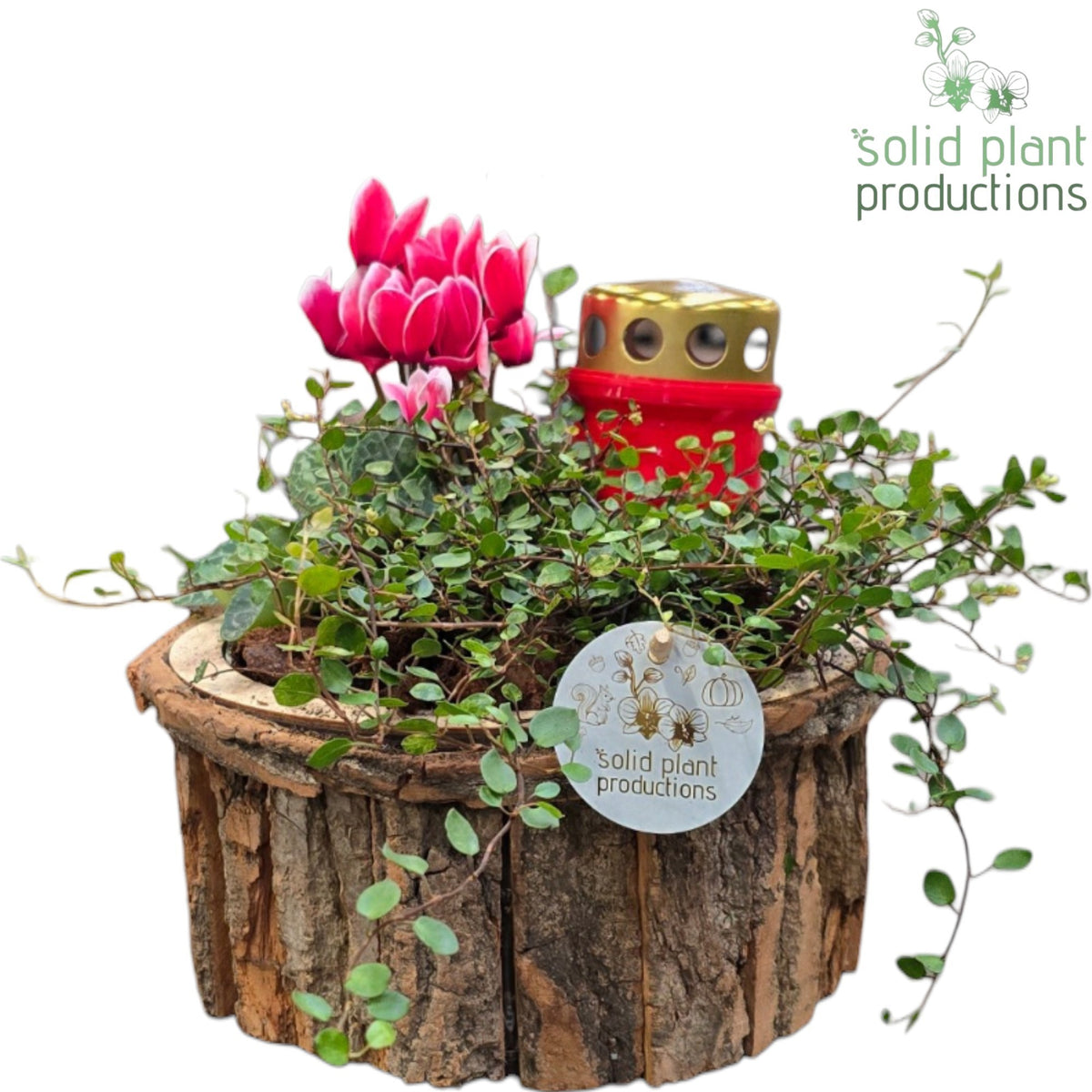 BSM001 Bark S Medium Brown Allerheiligen 40cm 22cm Pot
