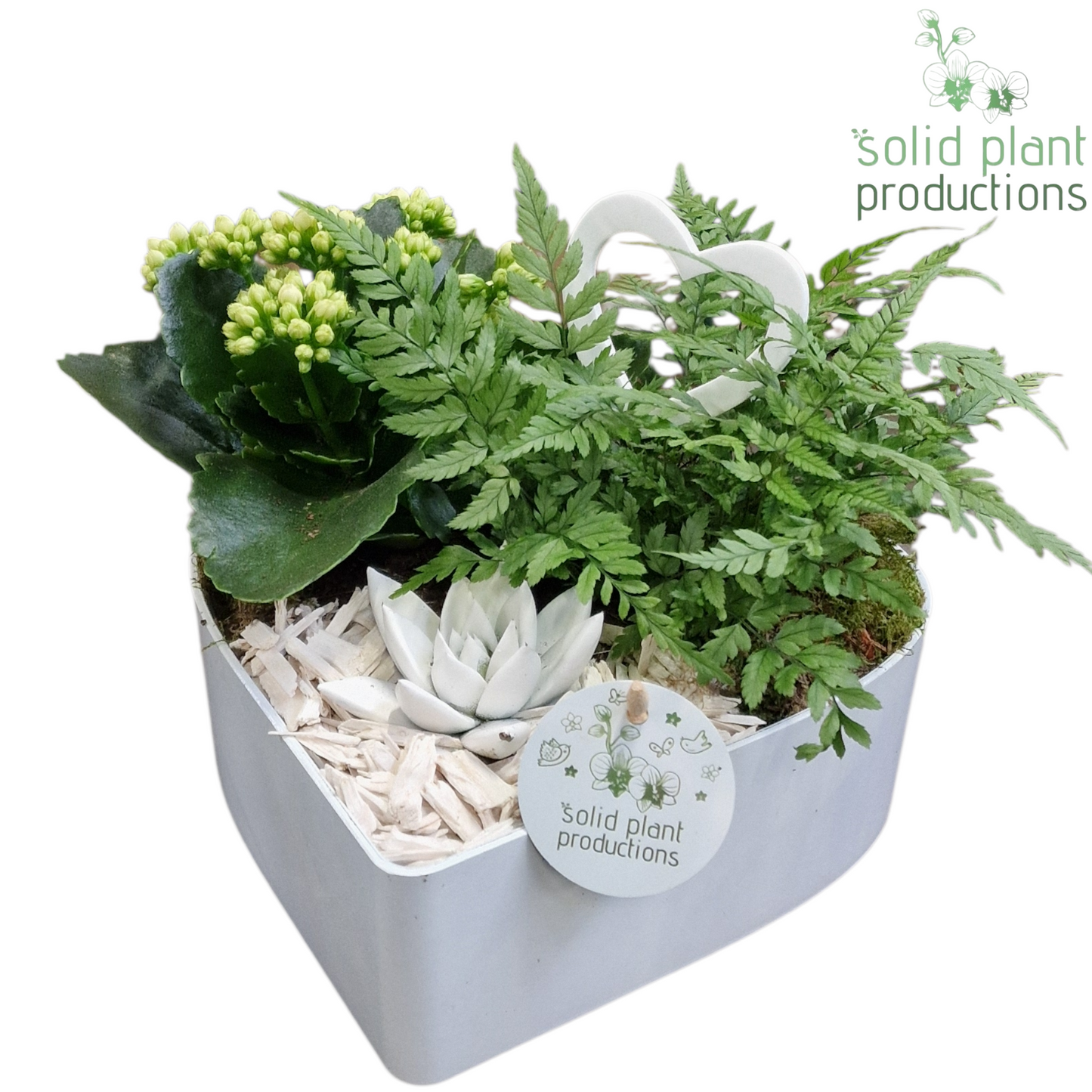 VE028 Hart White 3PP 23cm 22cm Pot