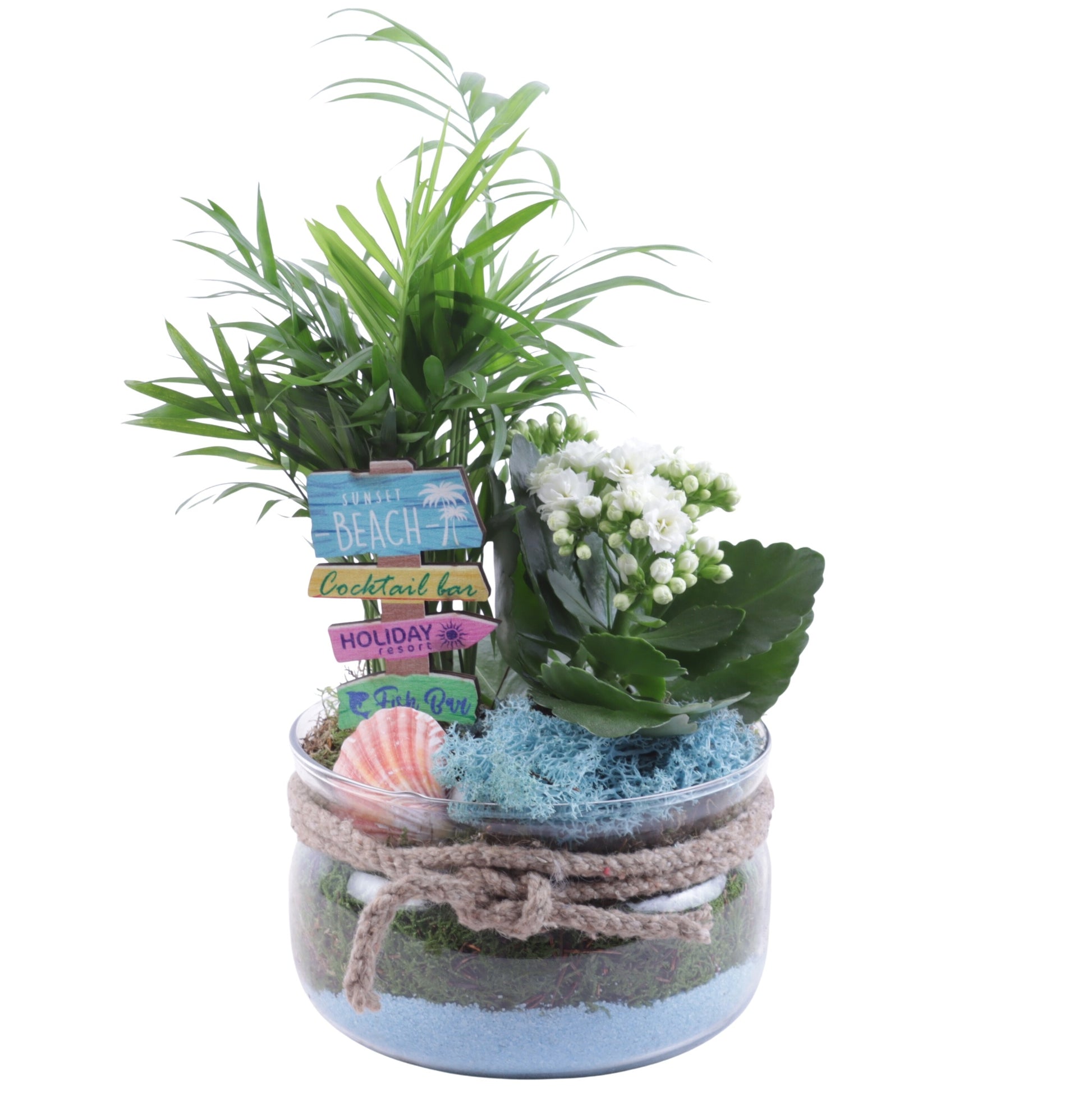 Indoor arrangement 30cm 16cm Pot
