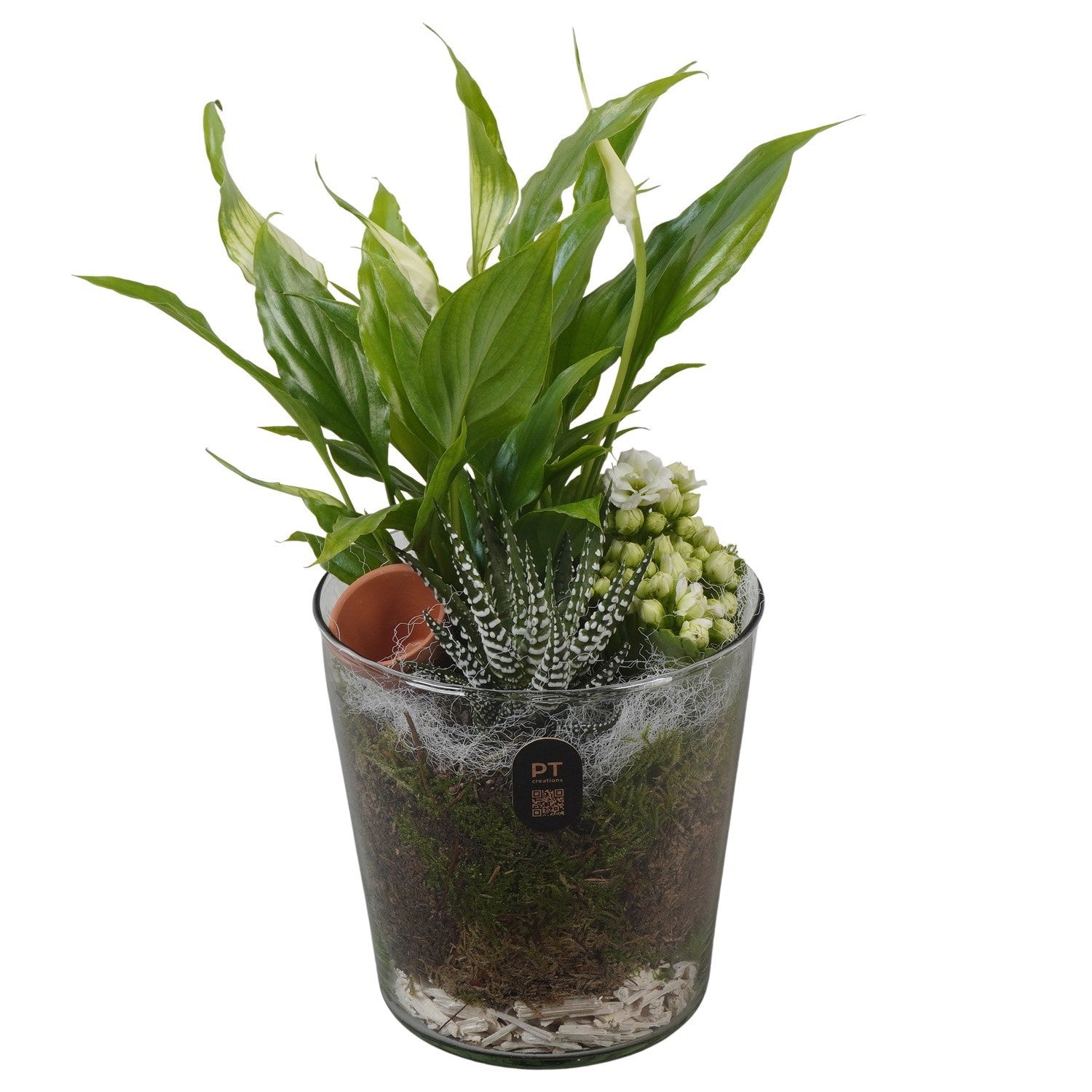 Indoor arrangement 30cm 13cm Pot