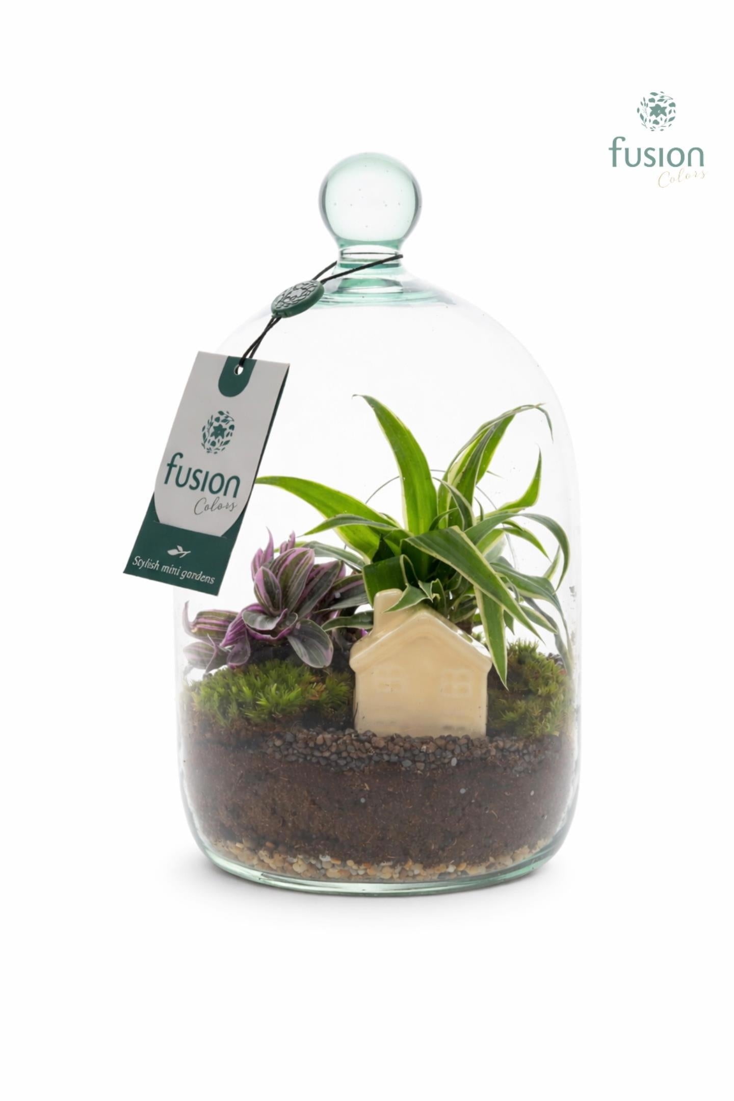 Green Bottle Novella Small met arrangement 25cm 15cm Pot