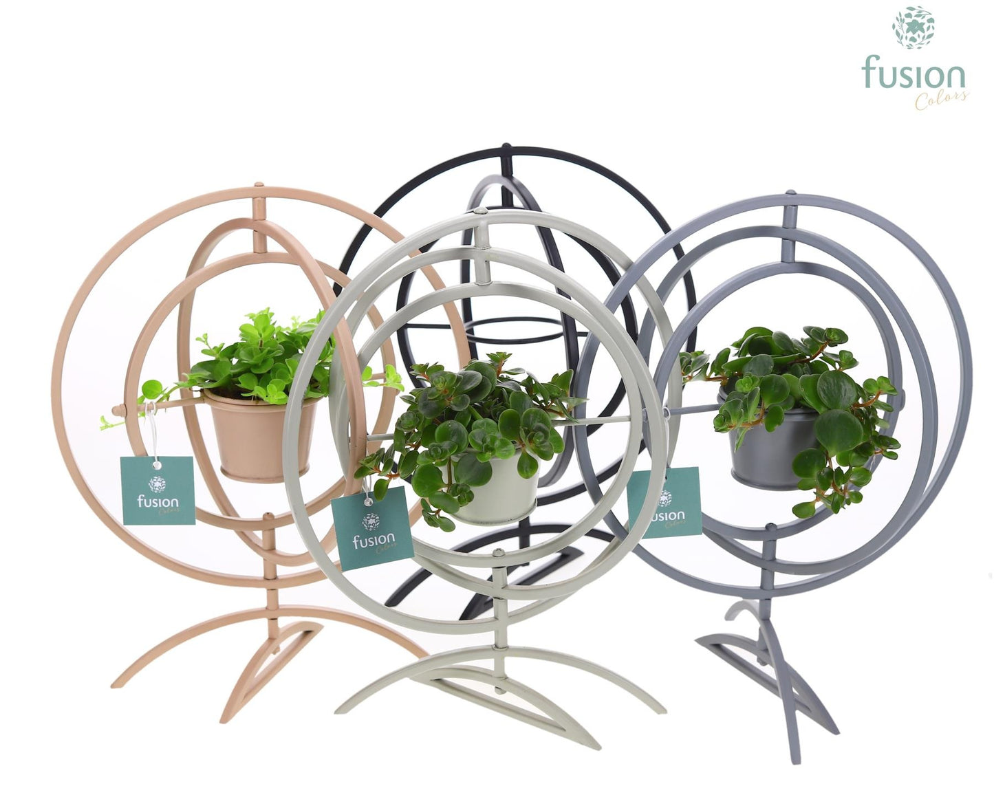 Fusioncolors BV Metaal Globe metaal 4 kleuren Large met groene planten Pack of 10