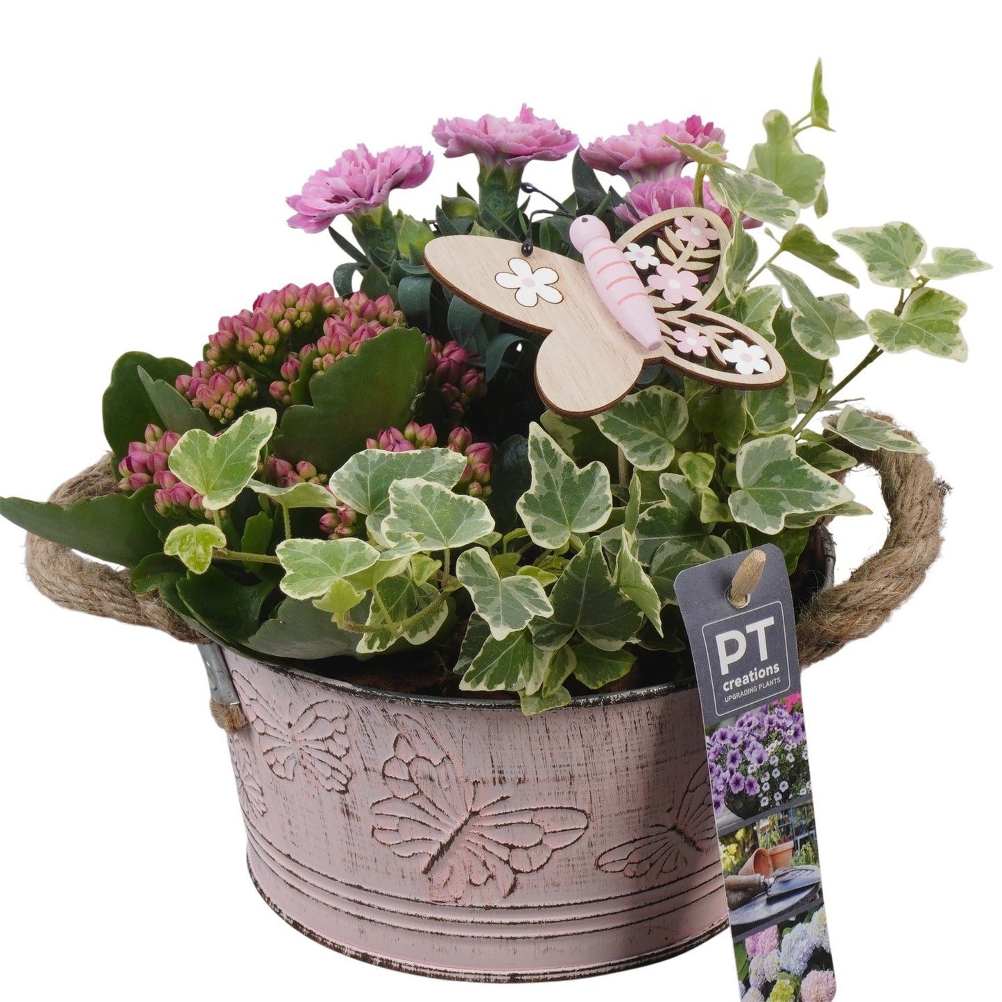 Outdoor arrangement 19cm 16cm Pot