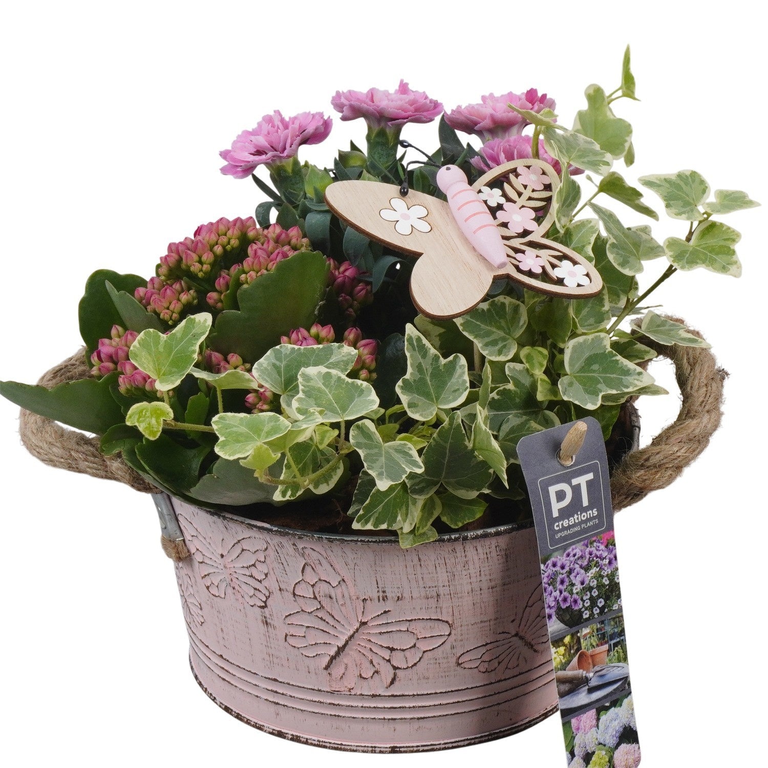 Outdoor arrangement 19cm 16cm Pot