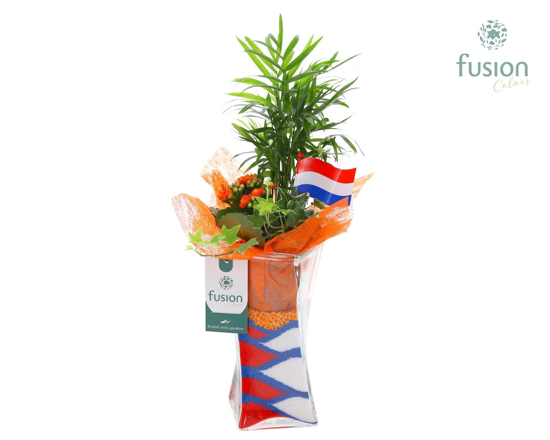 Glas Twistervaas met Arrangement Nederland 43cm 10cm Pot