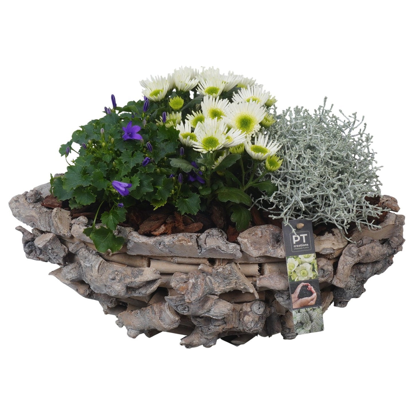 Outdoor arrangement 27cm 43cm Pot