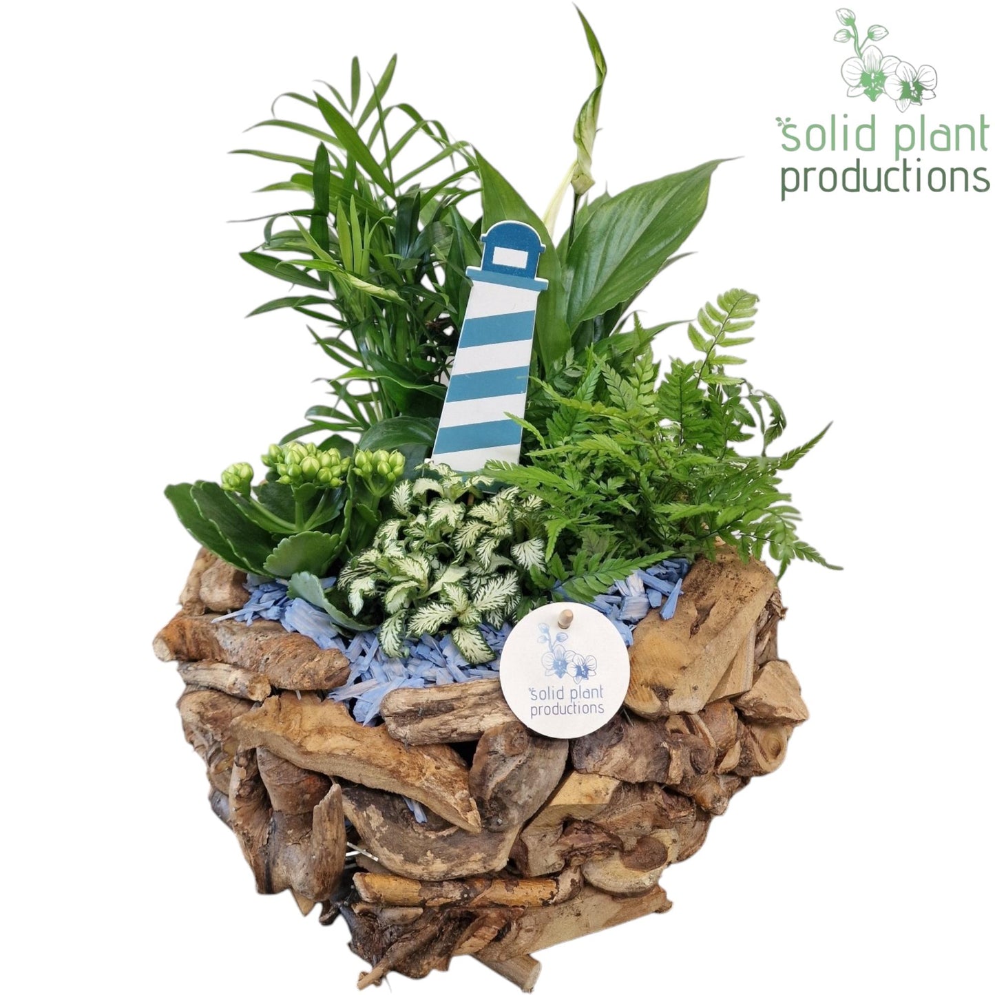 SC013 Driftwood Round Maritiem 45cm 31cm Pot