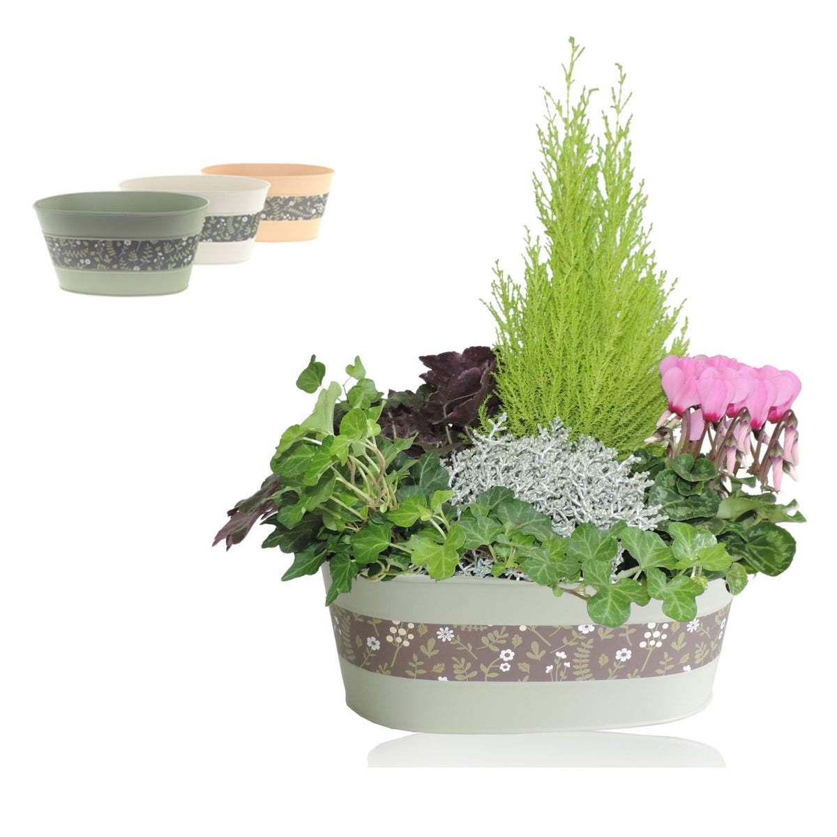 Outdoor arrangement 40cm 30cm Pot