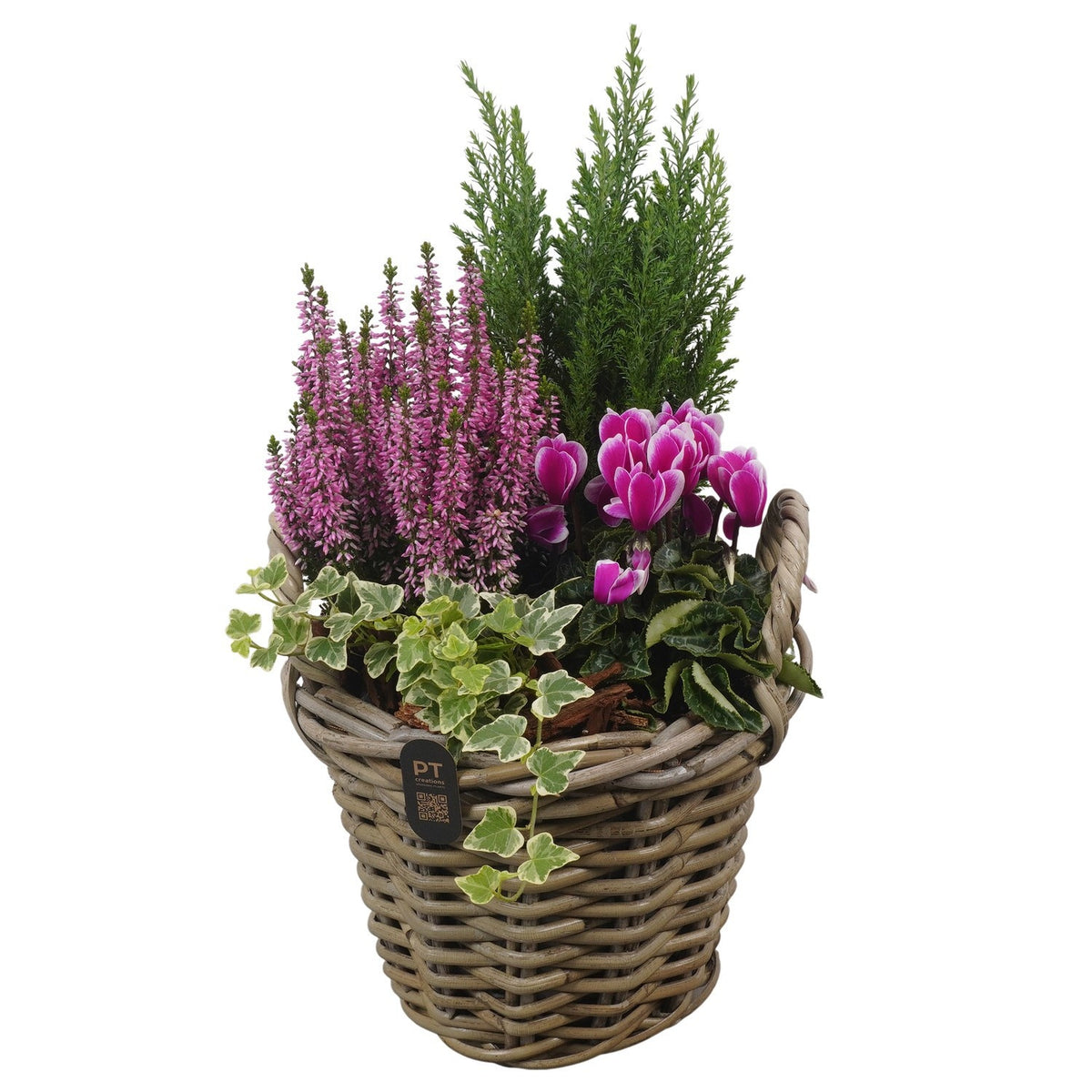 Outdoor arrangement 44cm 23cm Pot