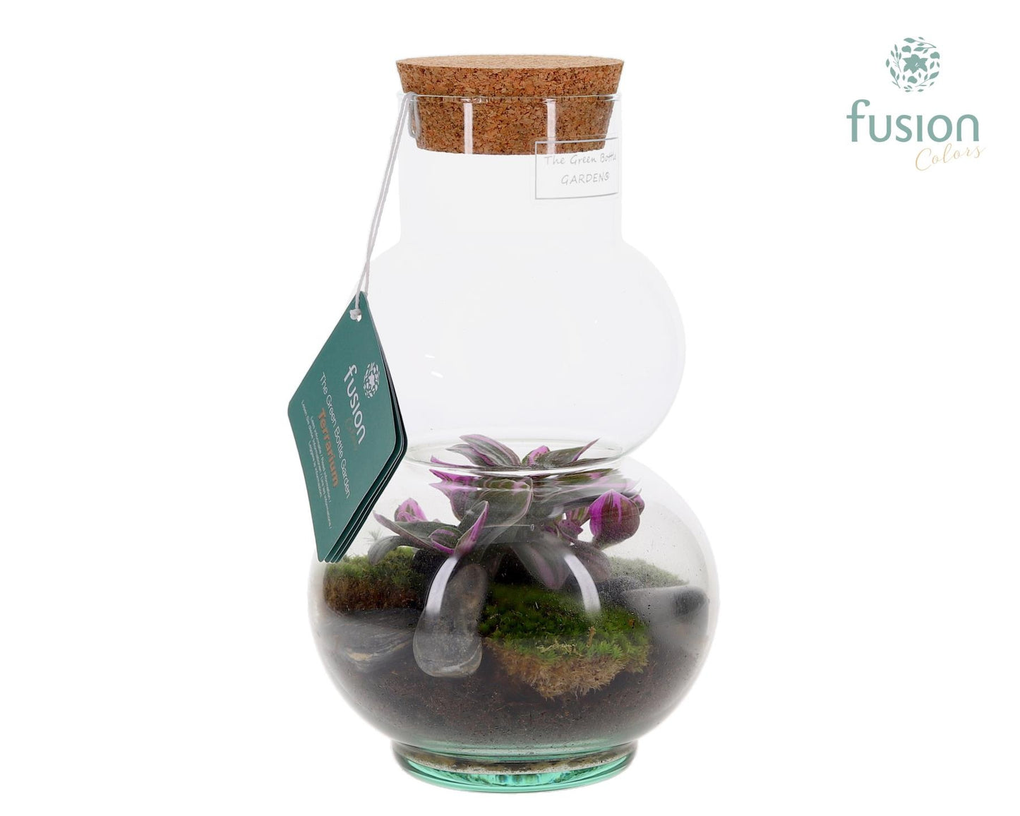 Fusioncolors BV Green Bottle Olaf XSmall met Terrarium arrangement Pack of 6
