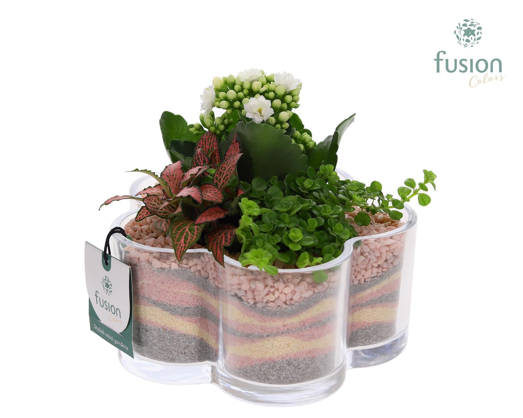 Glazen Bloemschaalmet Arrangement 15cm 18cm Pot