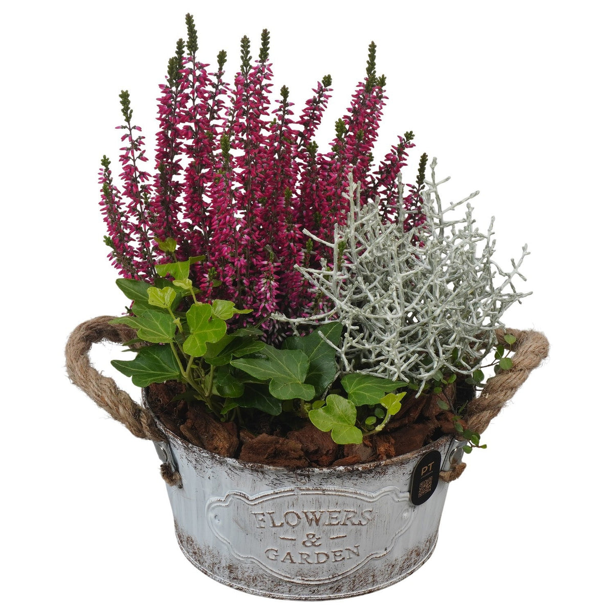 Outdoor arrangement 26cm 16cm Pot