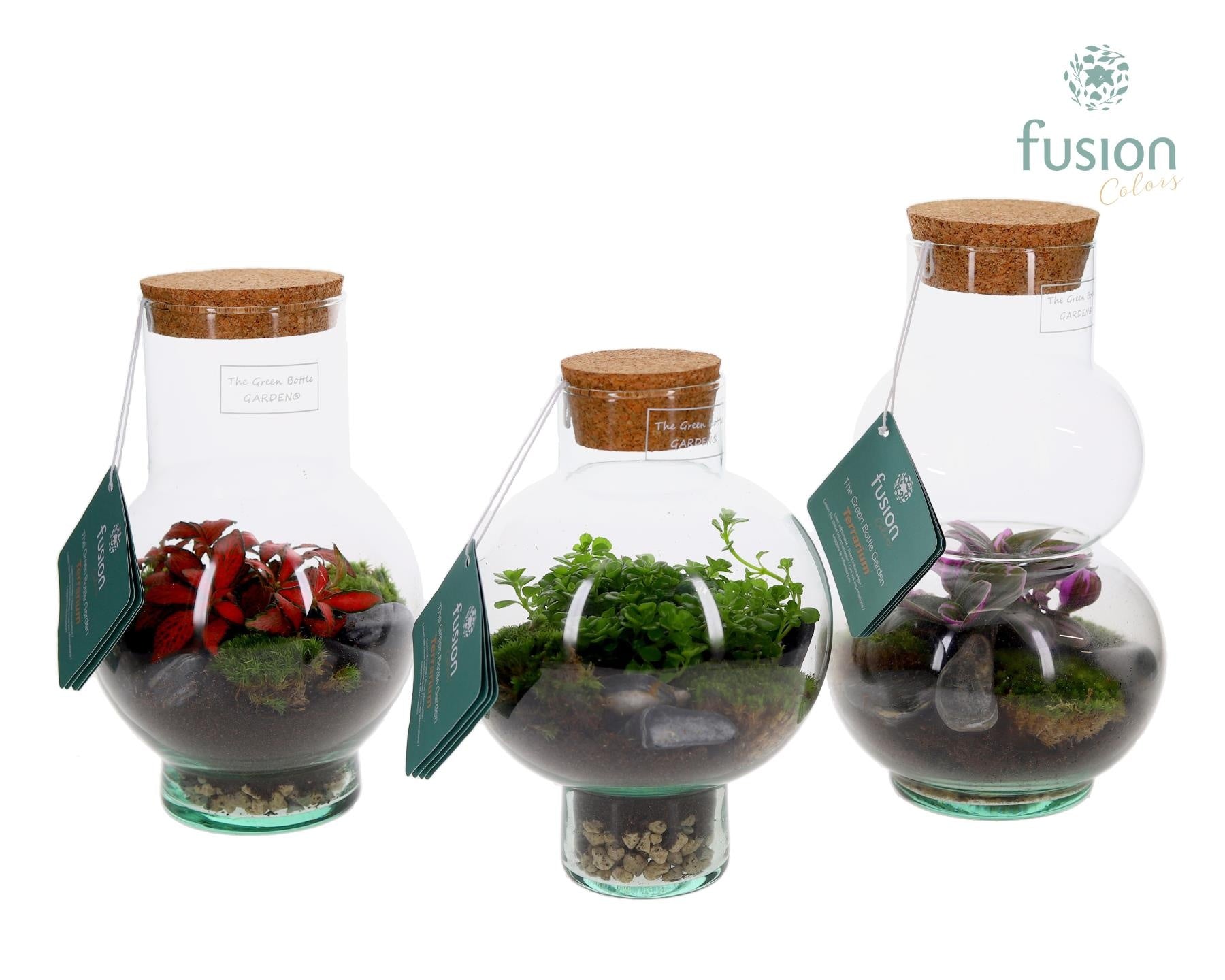 Green Bottle XSmall glas mix met Terrarium arrangement 25cm 15cm Pot
