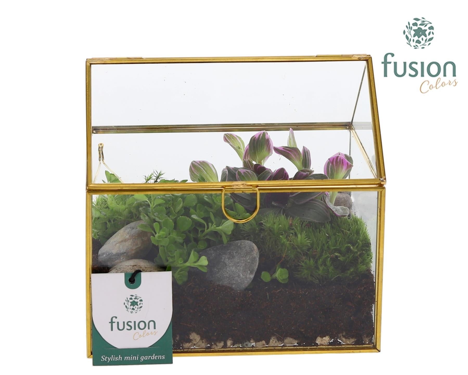 Glazen huis met arrangement 15cm 15cm Pot