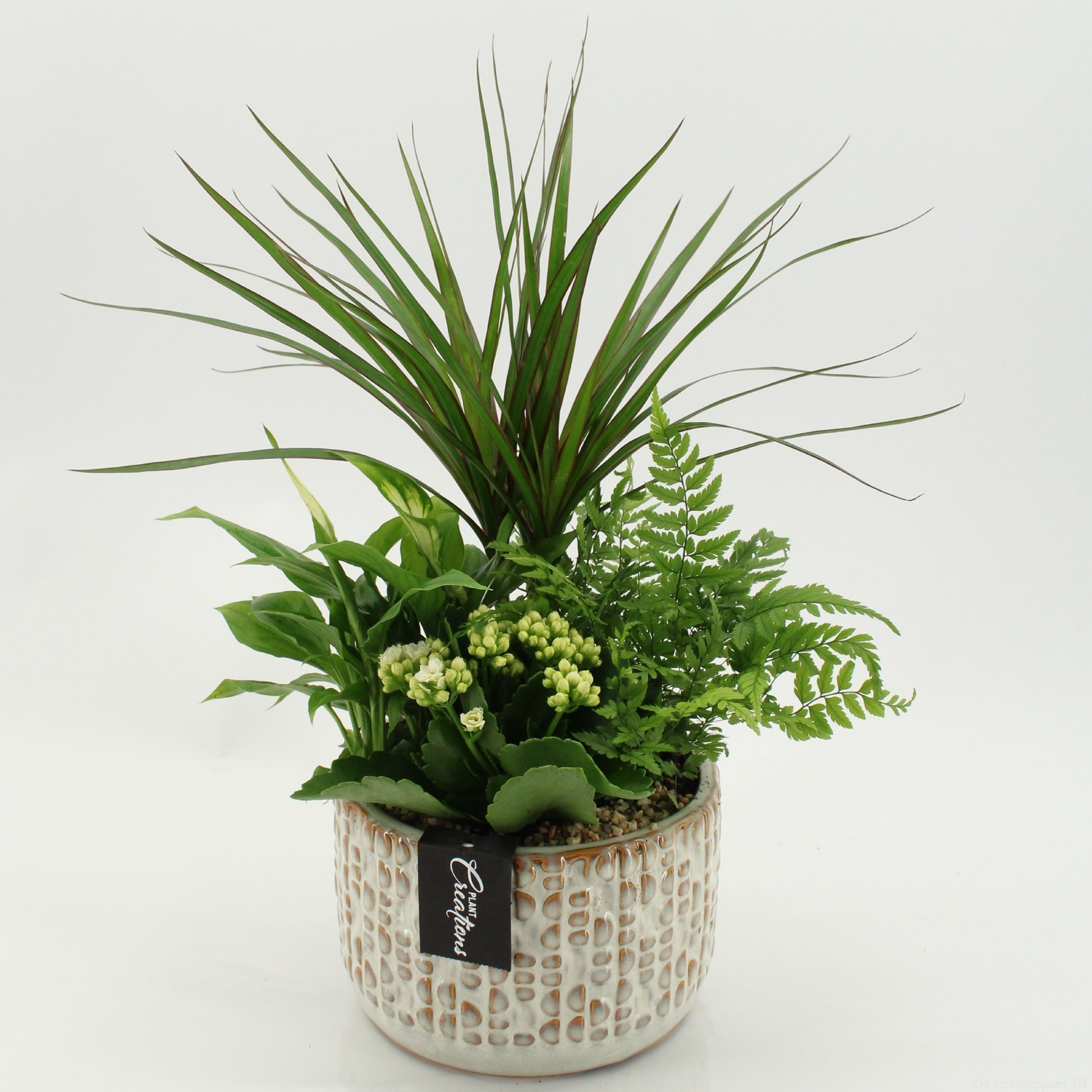 RECR-2604 Rentree 45cm 17cm Pot
