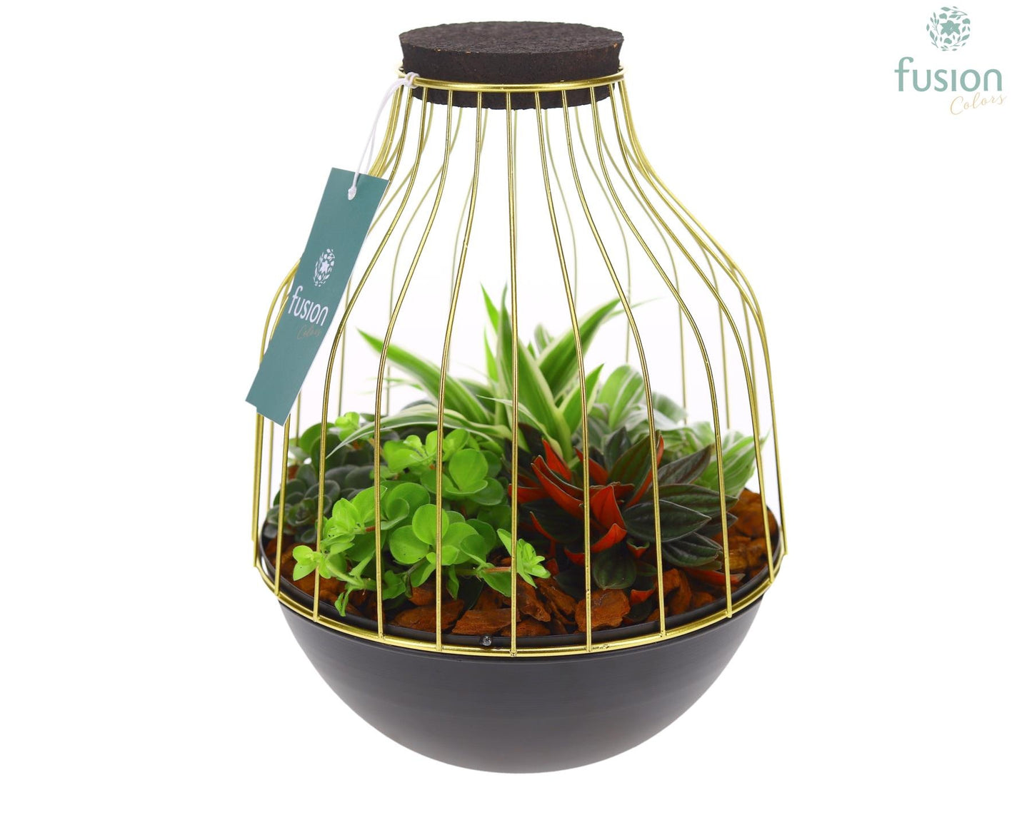 Metaal vogelkooi goudzwart Medium met groene planten 25cm 19cm Pot