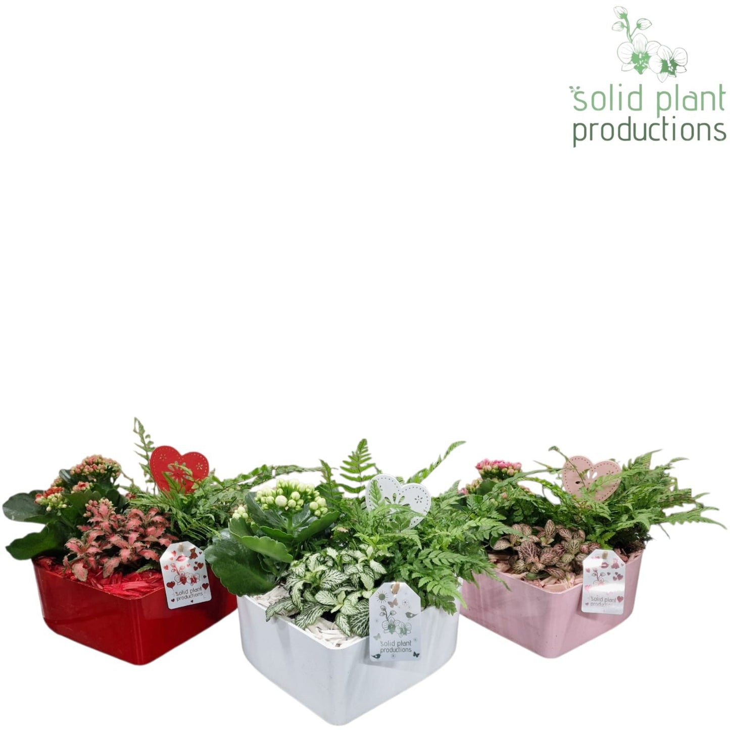 VE028 Hart Mix 23cm 22cm Pot