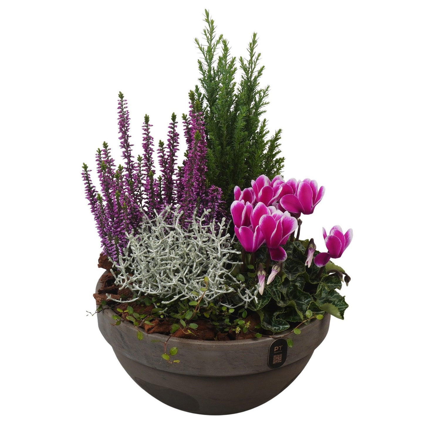 Outdoor arrangement 37cm 23cm Pot