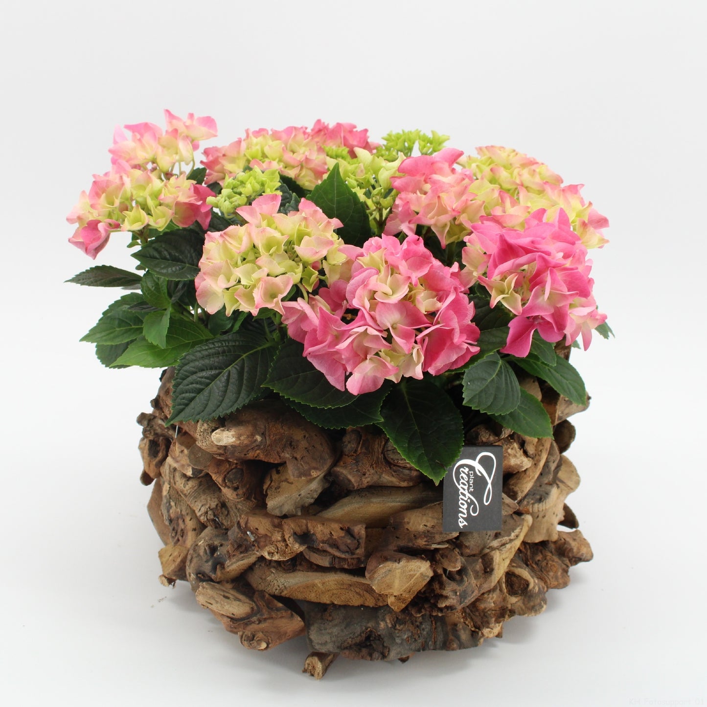 KHCR-2625RZ Hydrangea creatie 35cm 35cm Pot
