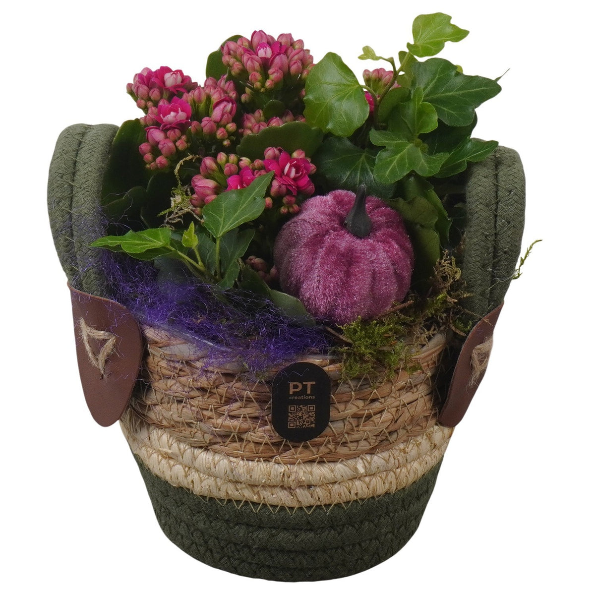 Indoor arrangement 18cm 13cm Pot