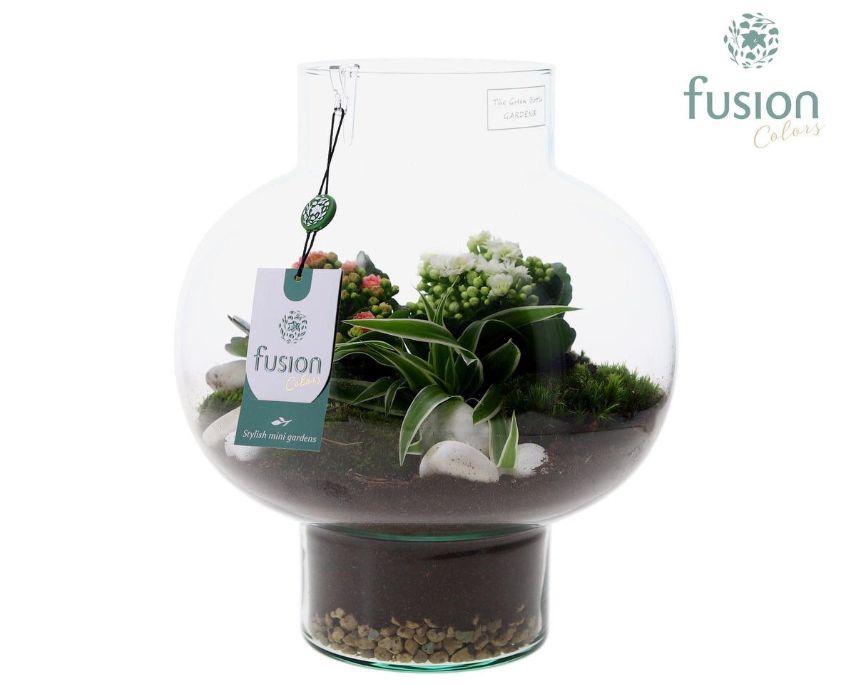 Green Bottle Laura Medium met arrangement 35cm 26cm Pot