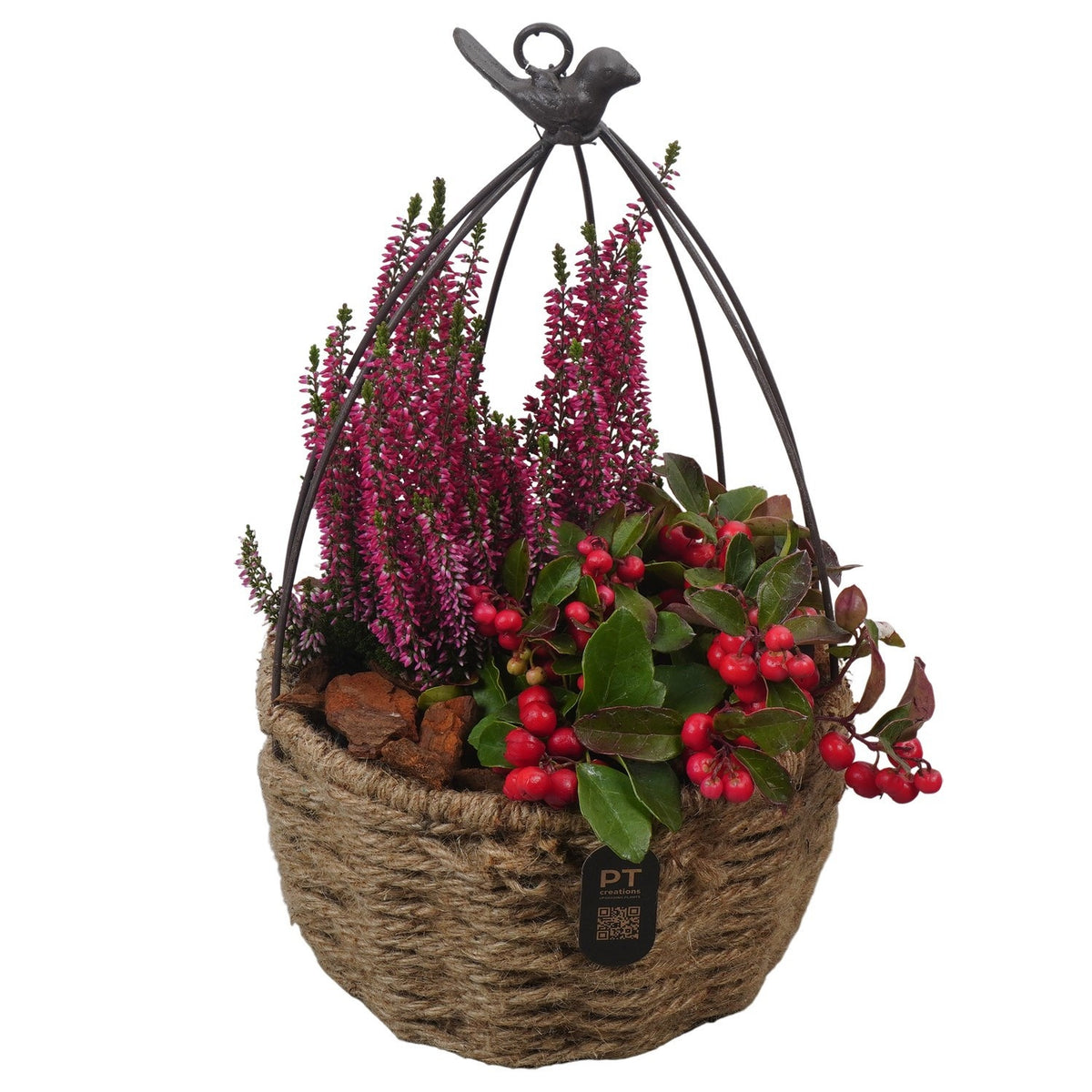 Outdoor arrangement 35cm 20cm Pot