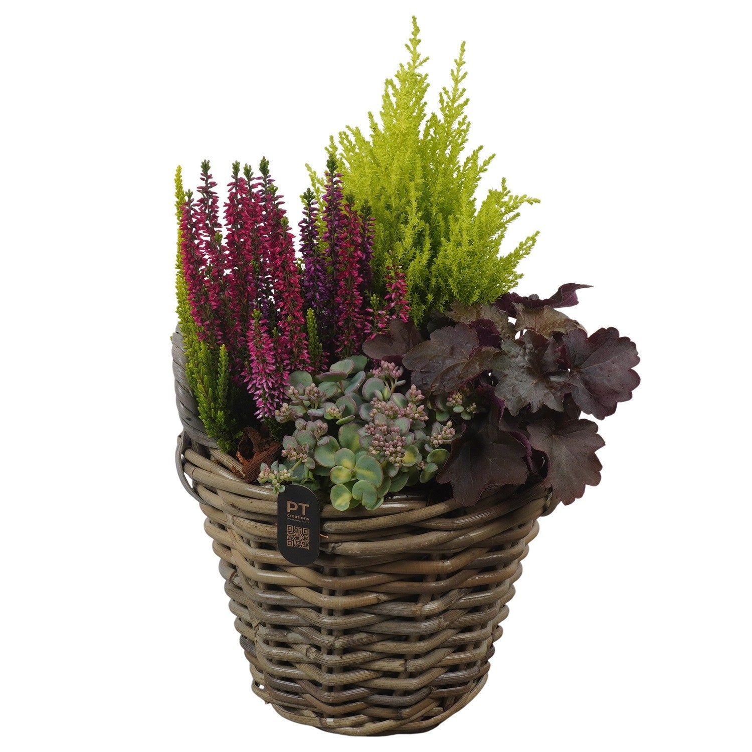 Outdoor arrangement 43cm 23cm Pot
