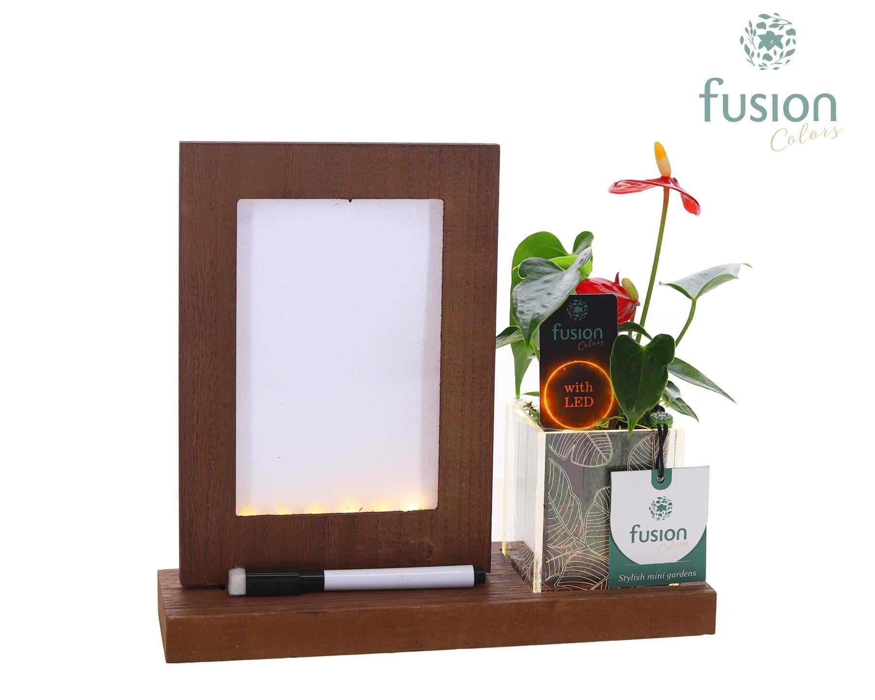 Acryl LED Glow Art Frame met Anthurium 29cm 23cm Pot