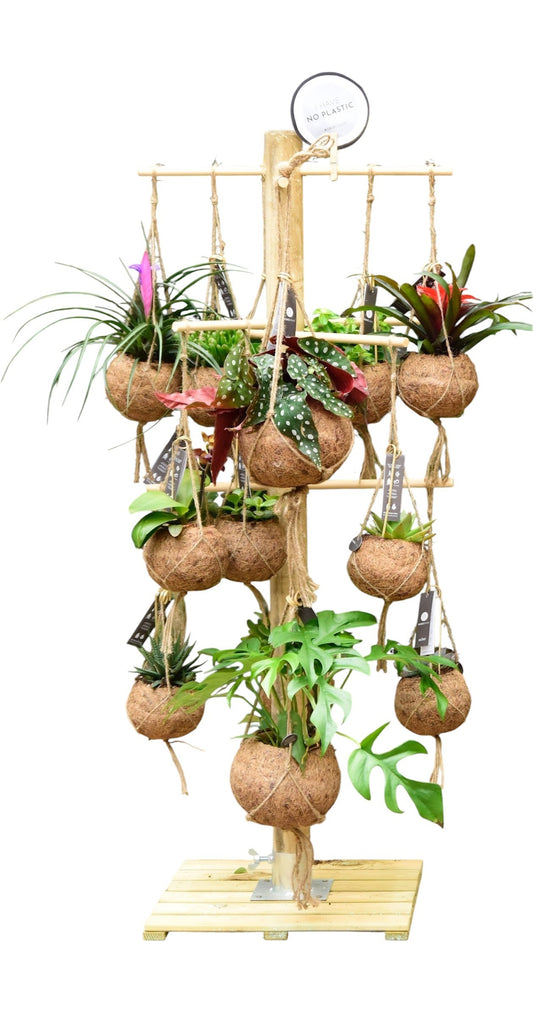 Hanging plants mix 120cm 15cm Pot