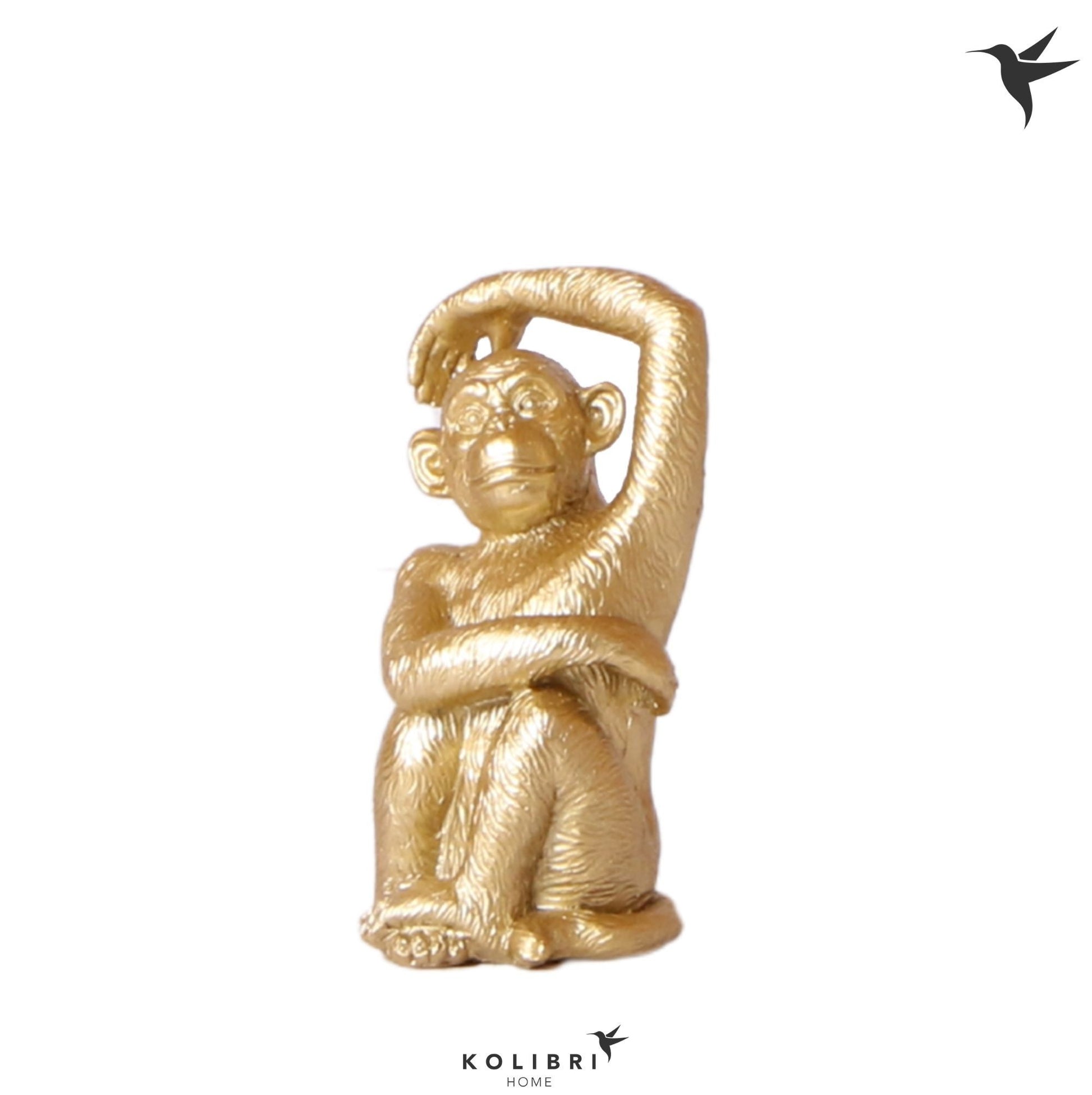OK Plant Kolibri Home Monkey Sitting gold Pack of 6