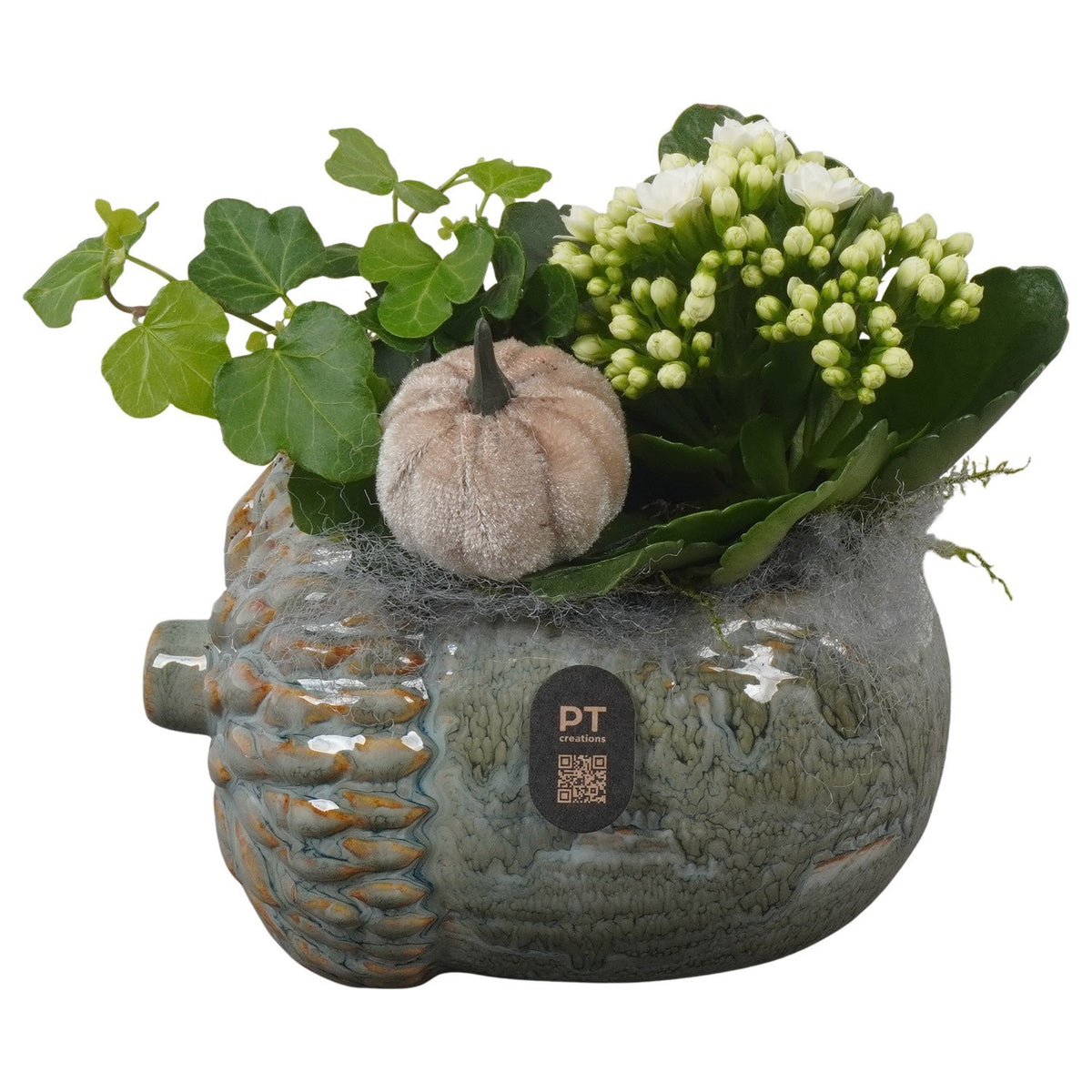 Indoor arrangement 16cm 15cm Pot