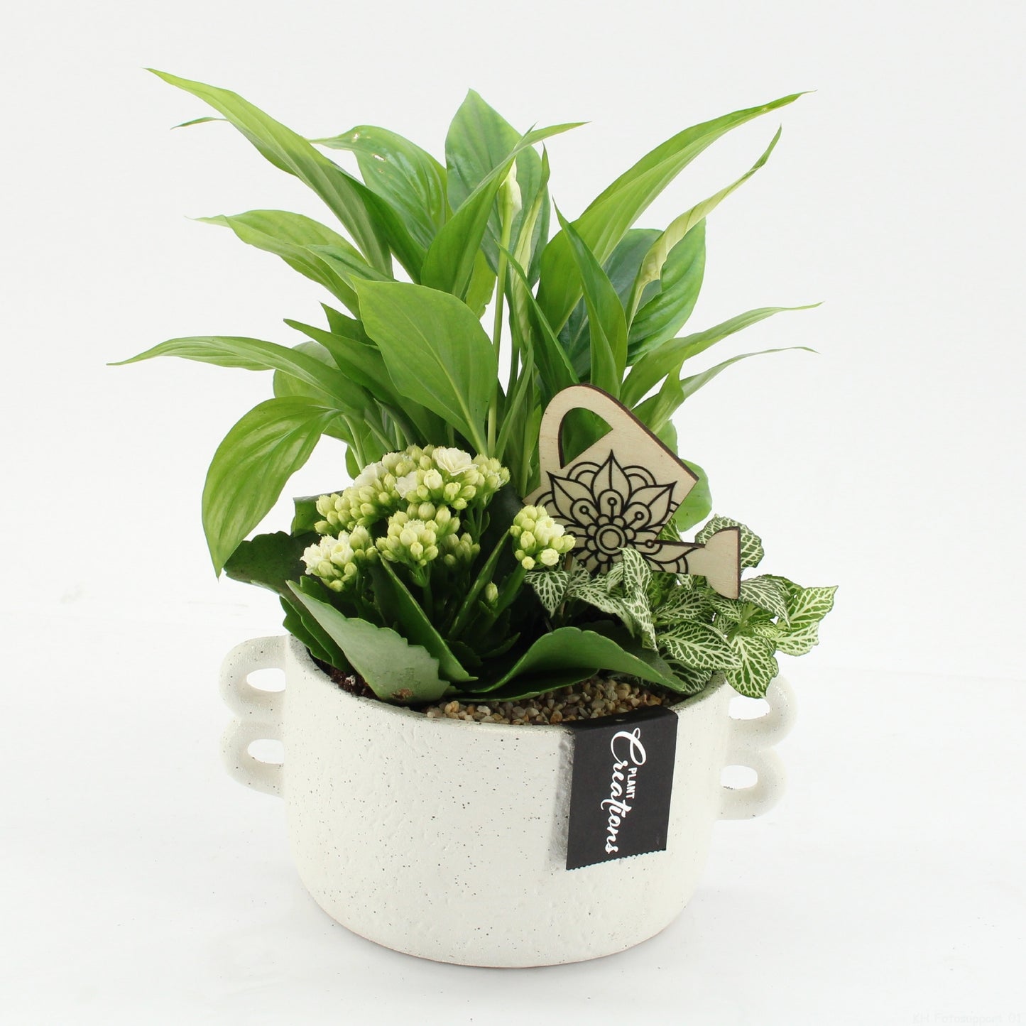 ESCR-2638W Essentials 30cm 20cm Pot