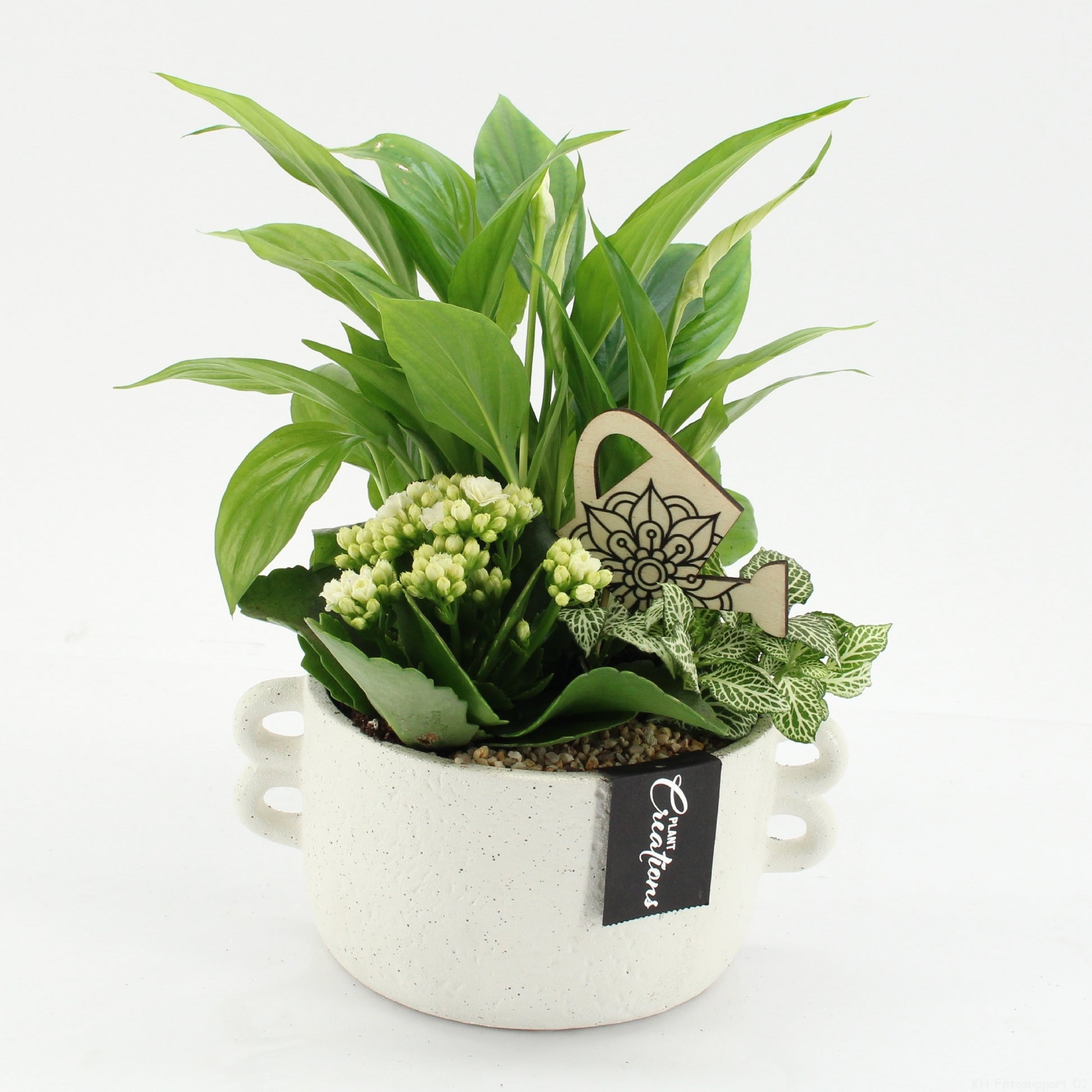 ESCR-2638W Essentials 30cm 20cm Pot