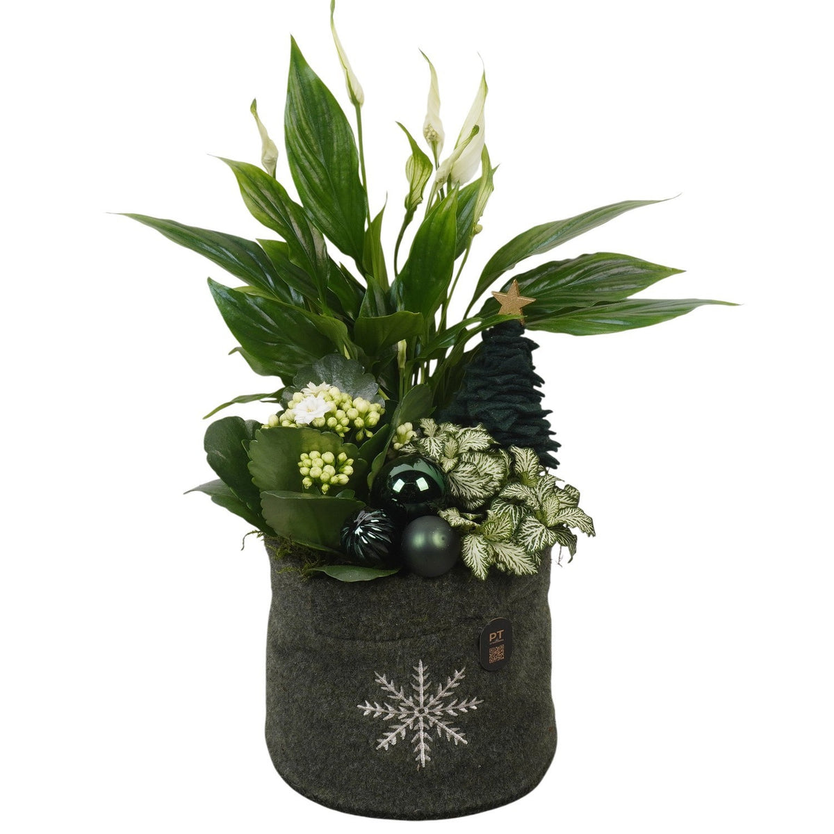 Christmas arrangement 41cm 17cm Pot