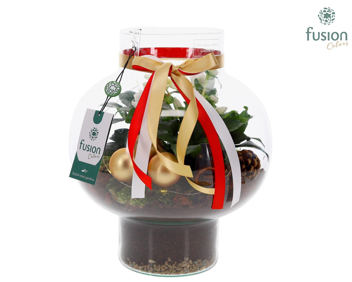 Green Bottle Laura Medium met Kerstarrangement met LED 29cm 26cm Pot