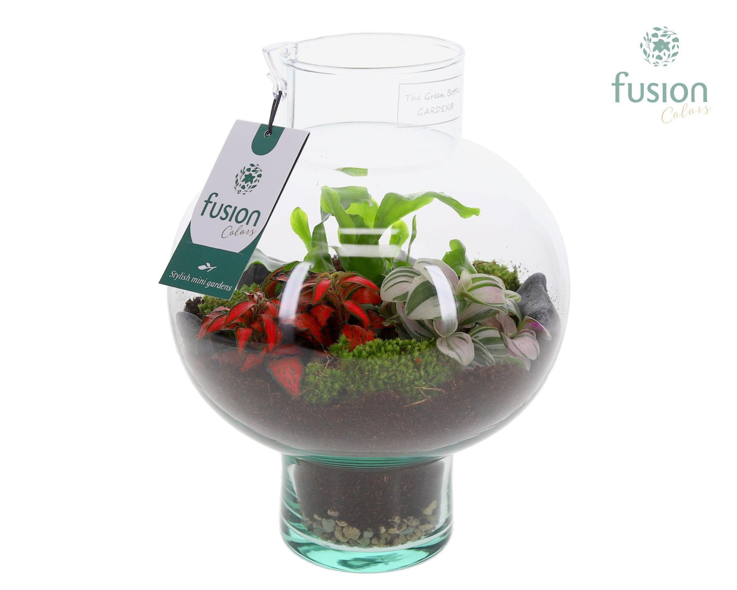 Fusioncolors BV Green Bottle Laura Small met Arrangement 3pp Pack of 3