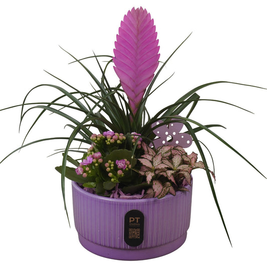 Indoor arrangement 30cm 16cm Pot