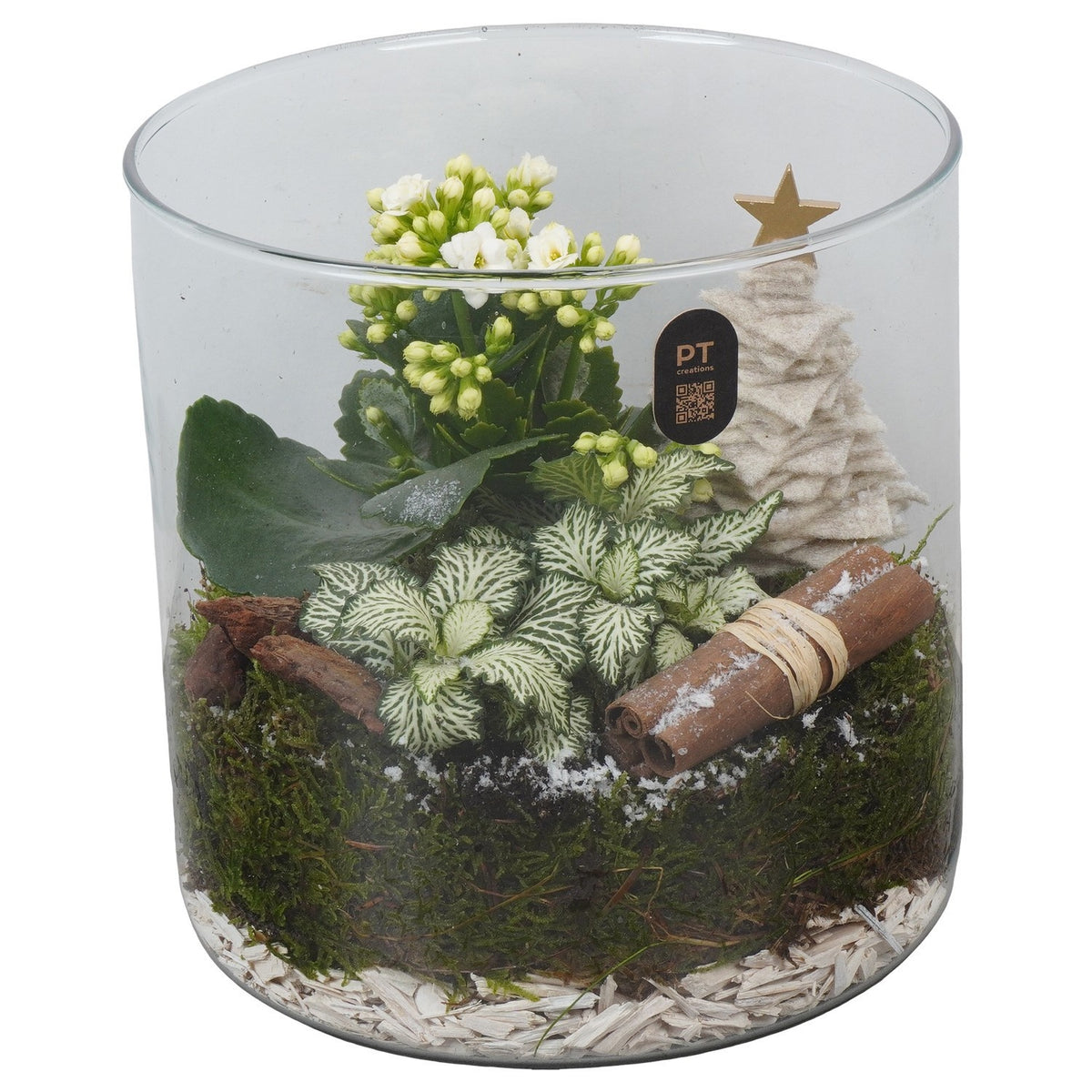 Christmas arrangement 19cm 19cm Pot
