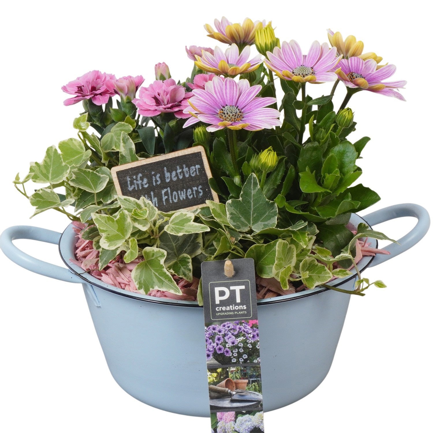 Outdoor arrangement 23cm 20cm Pot