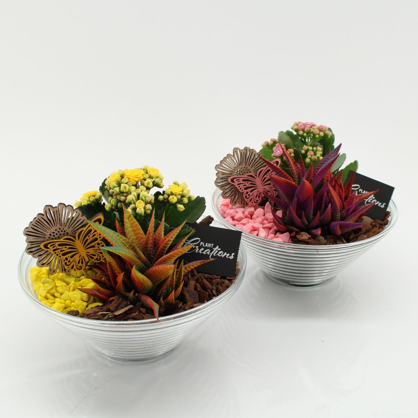 SECR-2624 Summer Essentials Colors 20cm 20cm Pot
