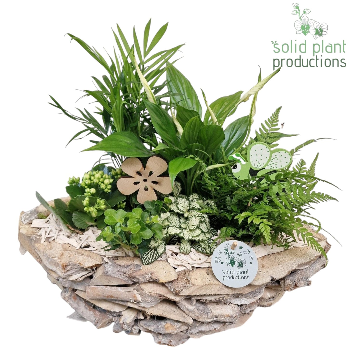Solid Plant Productions SC012 Driftwood Boat White Washed White Pack of 1