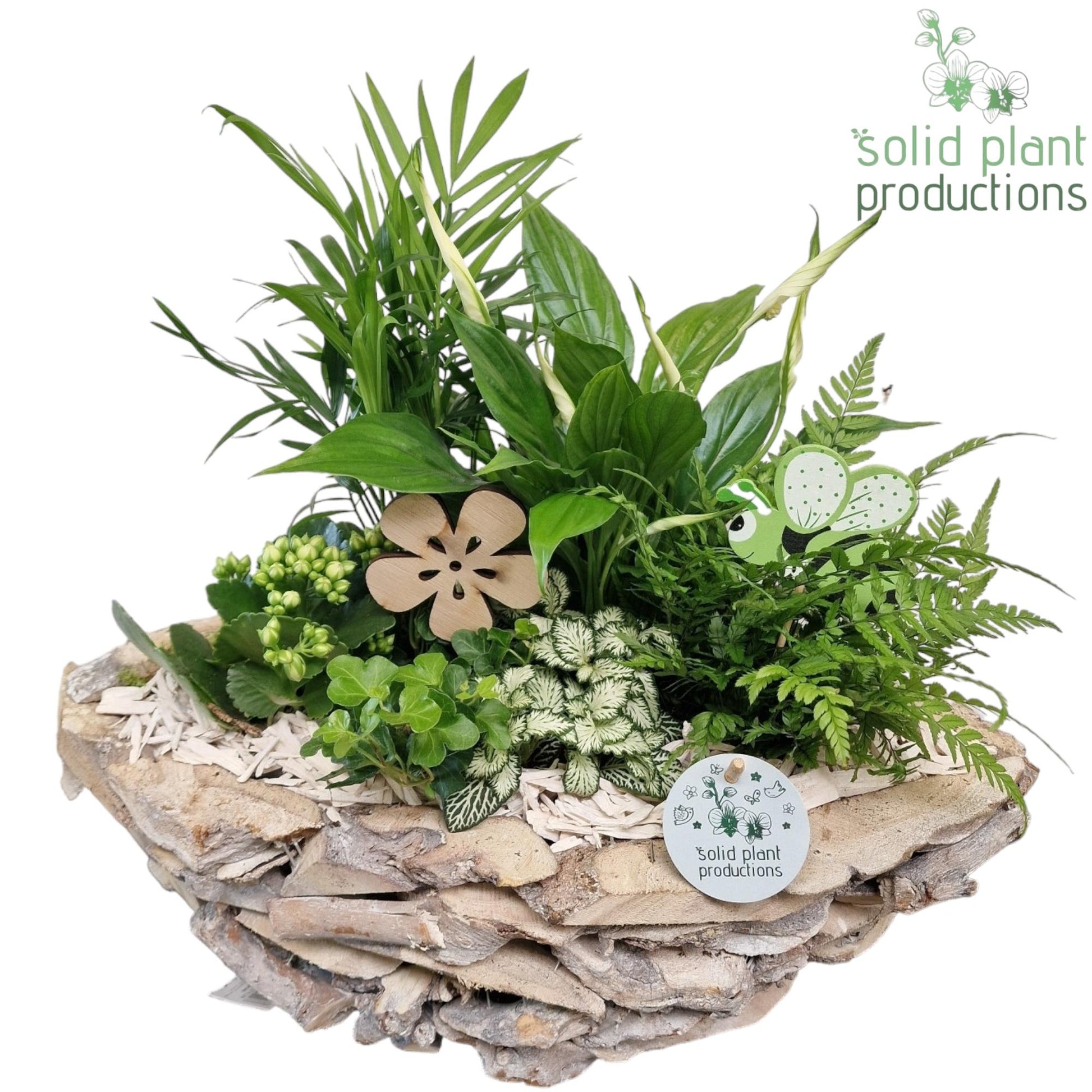 Solid Plant Productions SC012 Driftwood Boat White Washed White Pack of 1