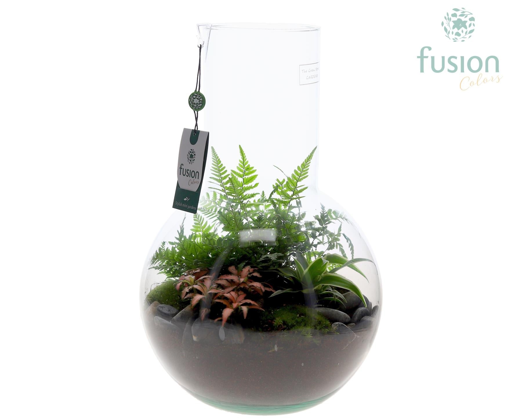 Fusioncolors BV Green Bottle Suzanne Large met arrangement Pack of 2