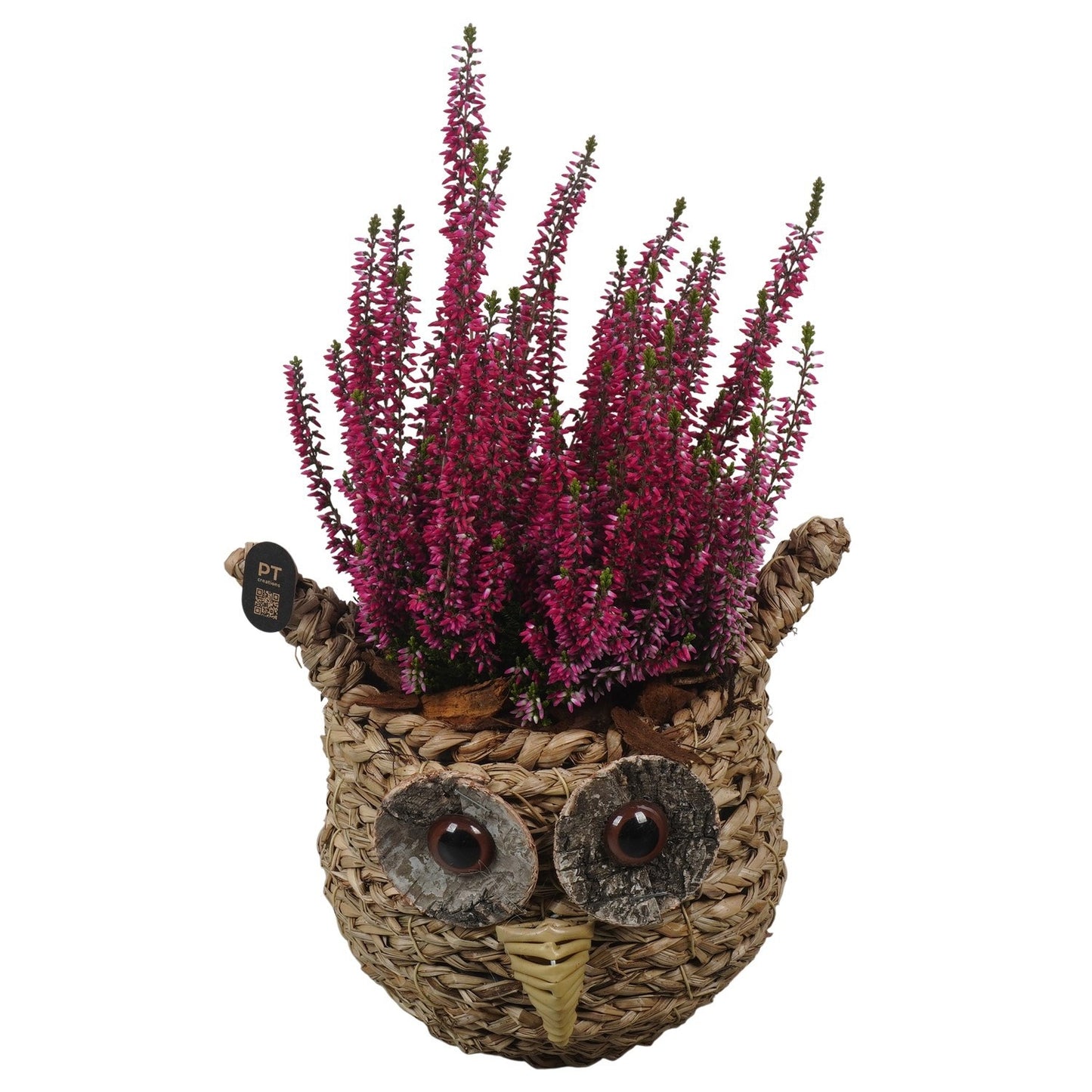 Outdoor arrangement 33cm 18cm Pot