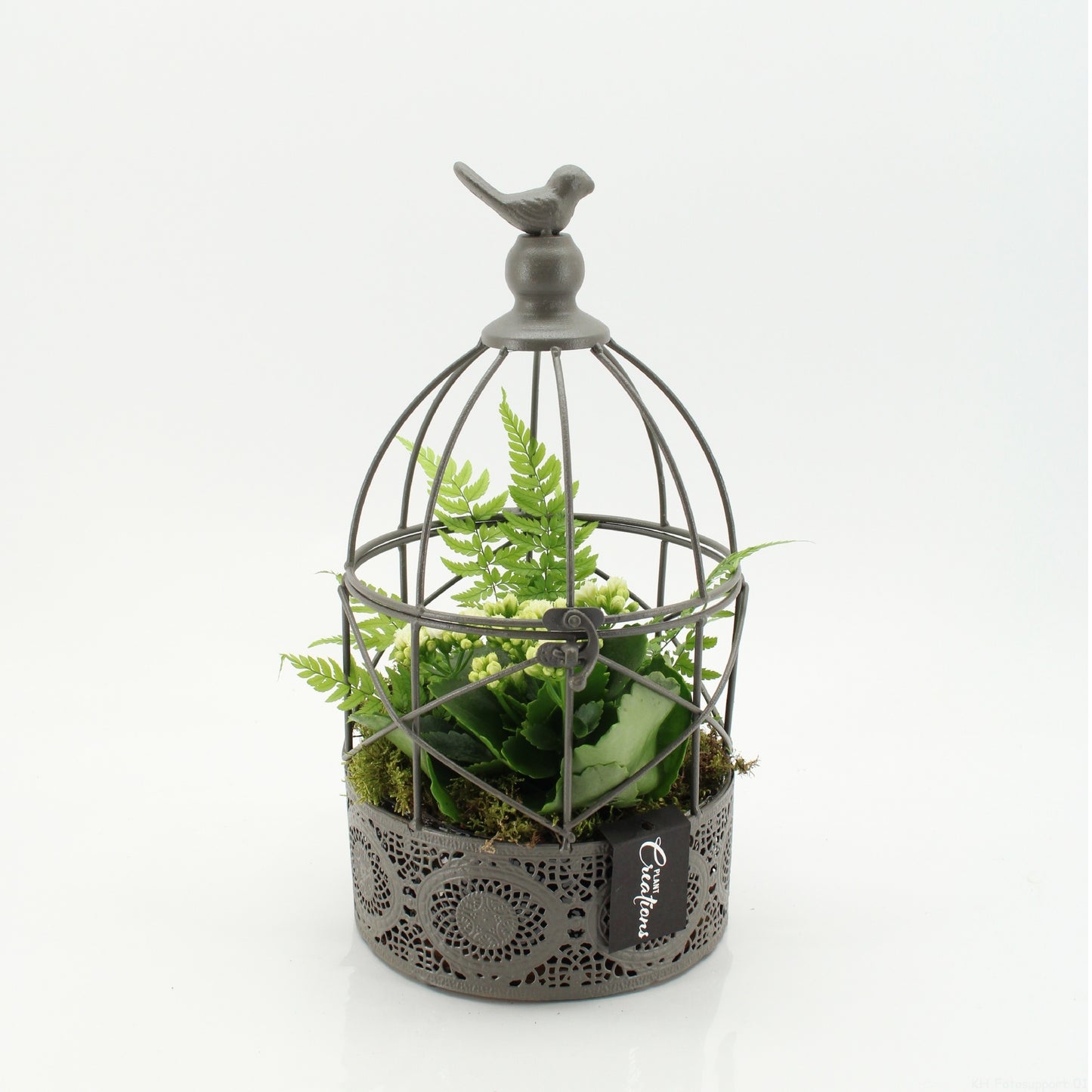 ESCR-2622W Essentials 33cm 17cm Pot