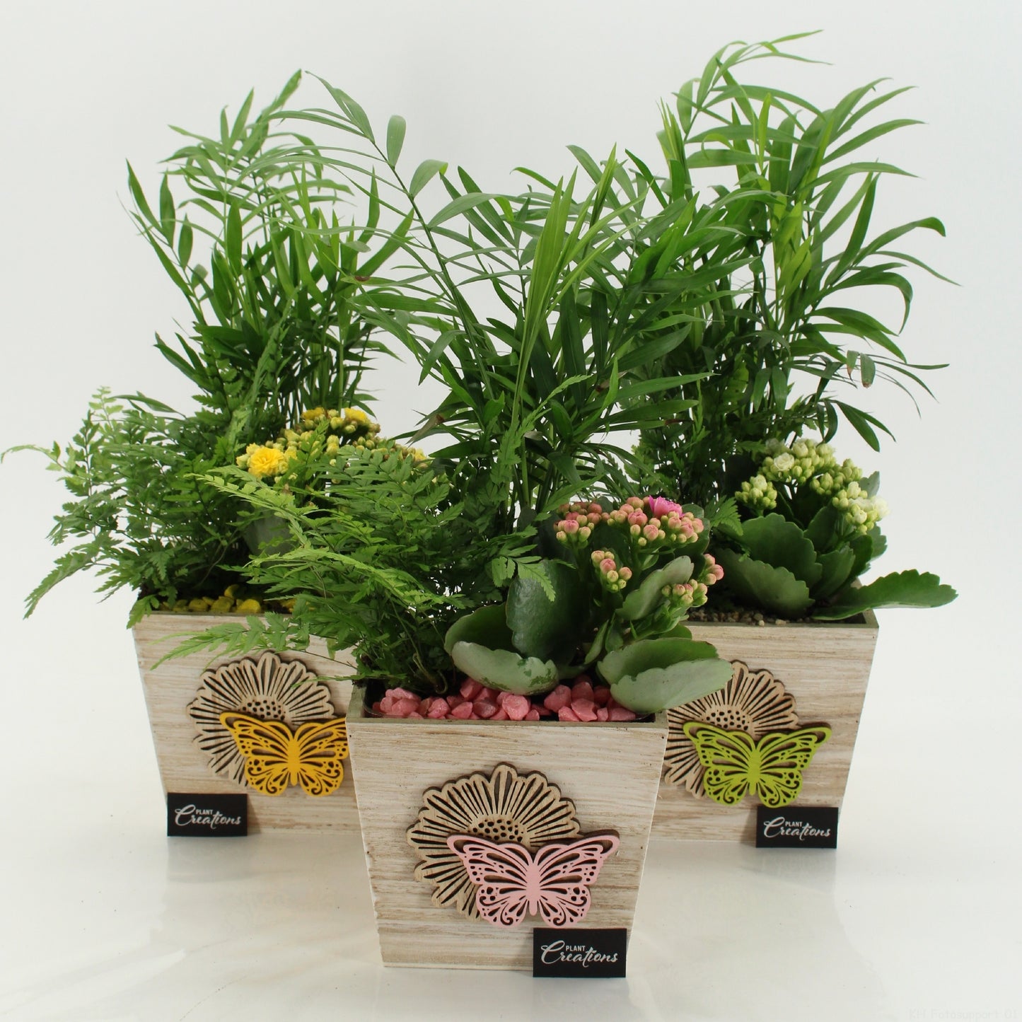 SECR-2616 Summer Essentials Colors 35cm 13cm Pot