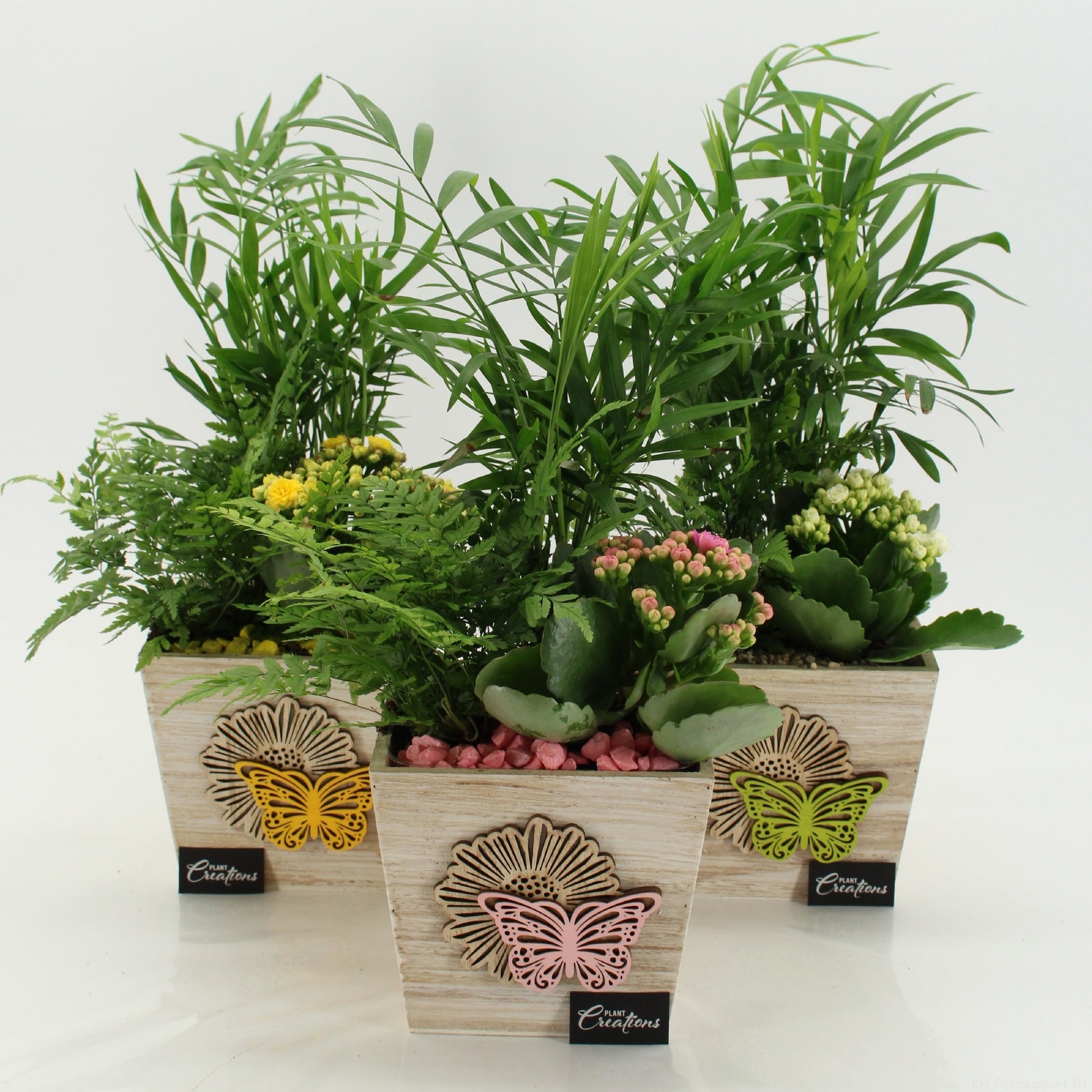 SECR-2616 Summer Essentials Colors 35cm 13cm Pot